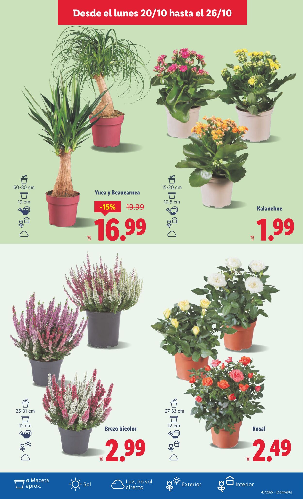 Folleto Lidl 20.10.2025 - 26.10.2025