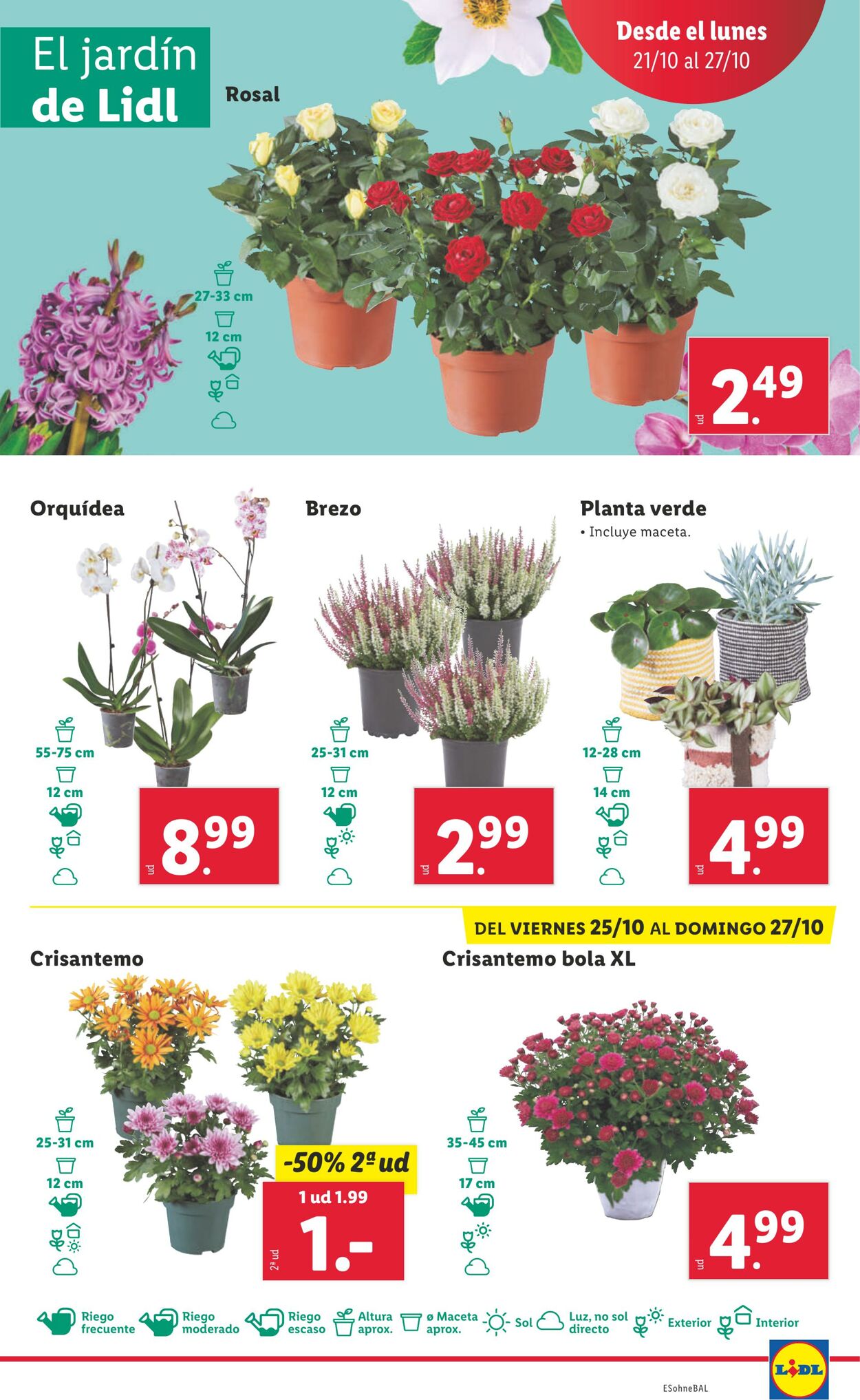 Folleto Lidl 21.10.2024 - 27.10.2024