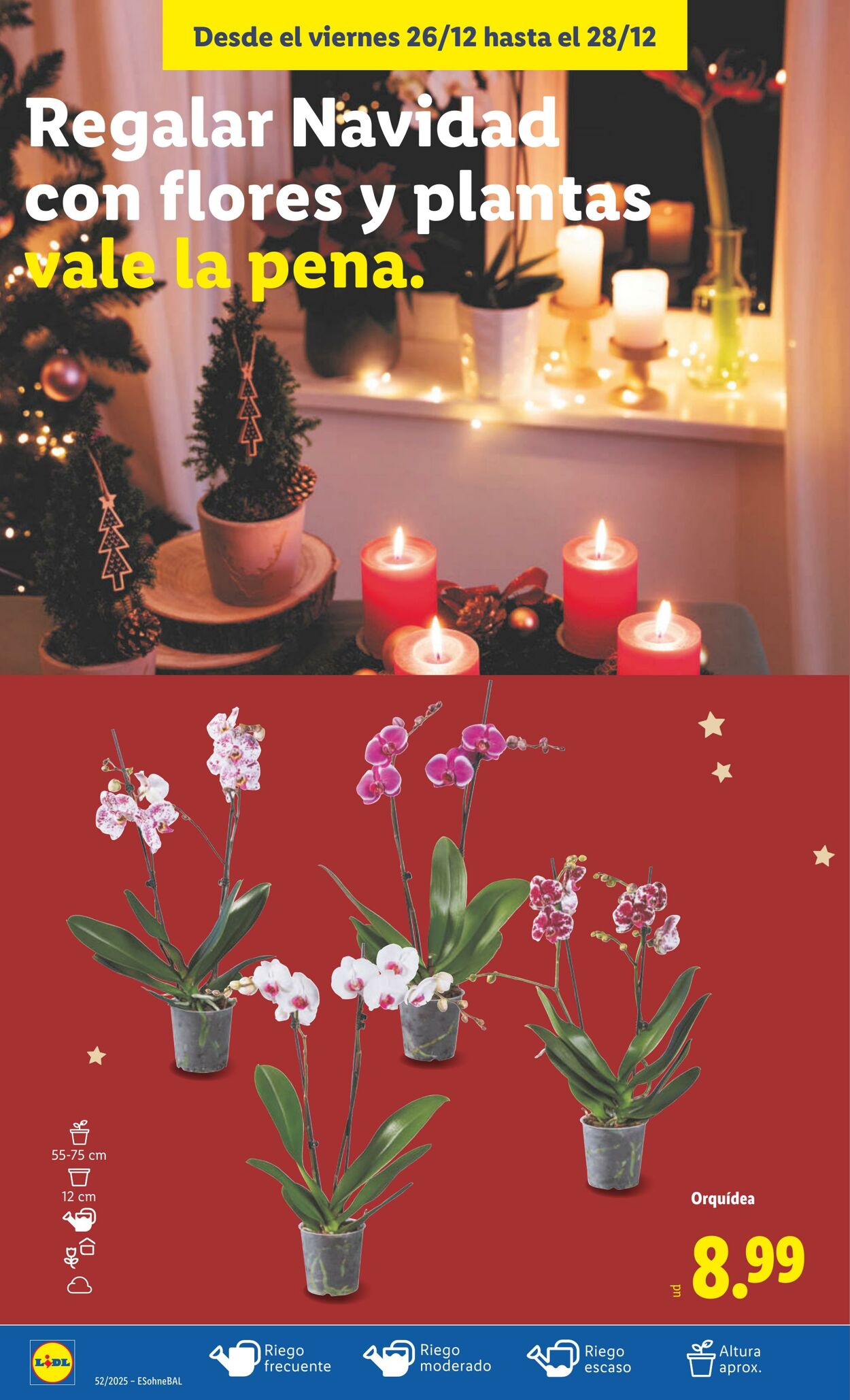 Folleto Lidl 22.12.2025 - 28.12.2025