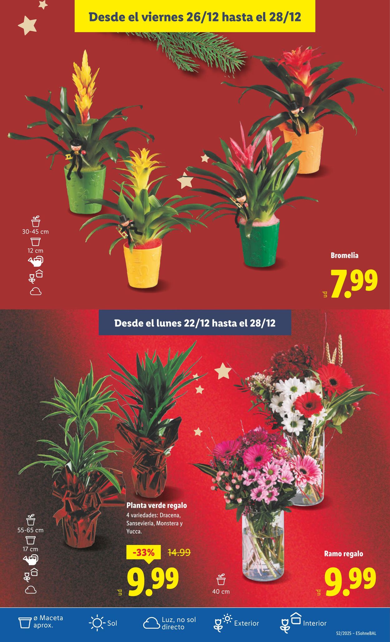 Folleto Lidl 22.12.2025 - 28.12.2025