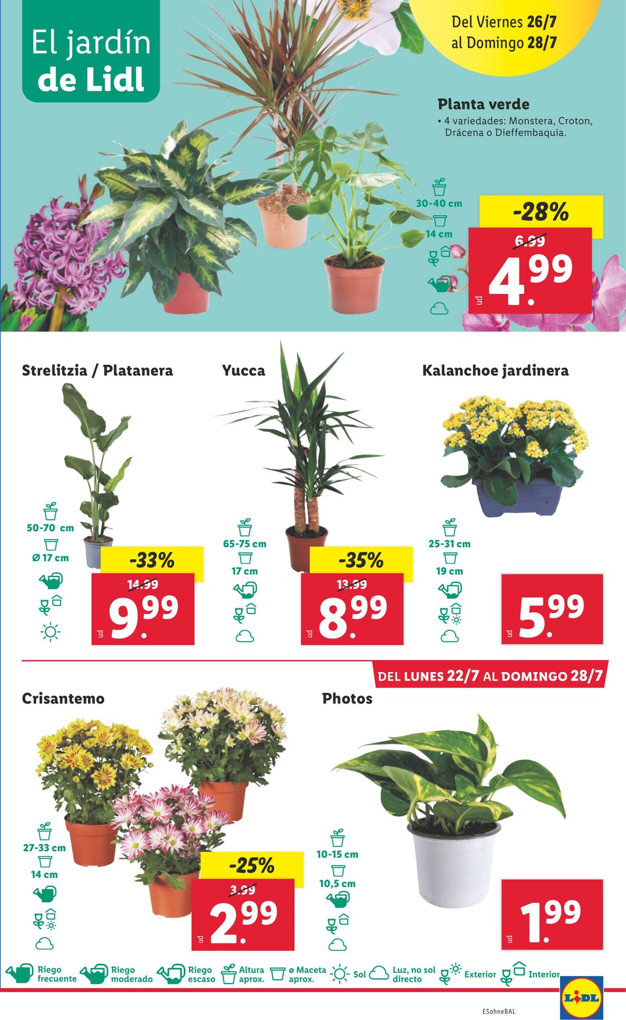 Folleto Lidl 22.07.2024 - 28.07.2024