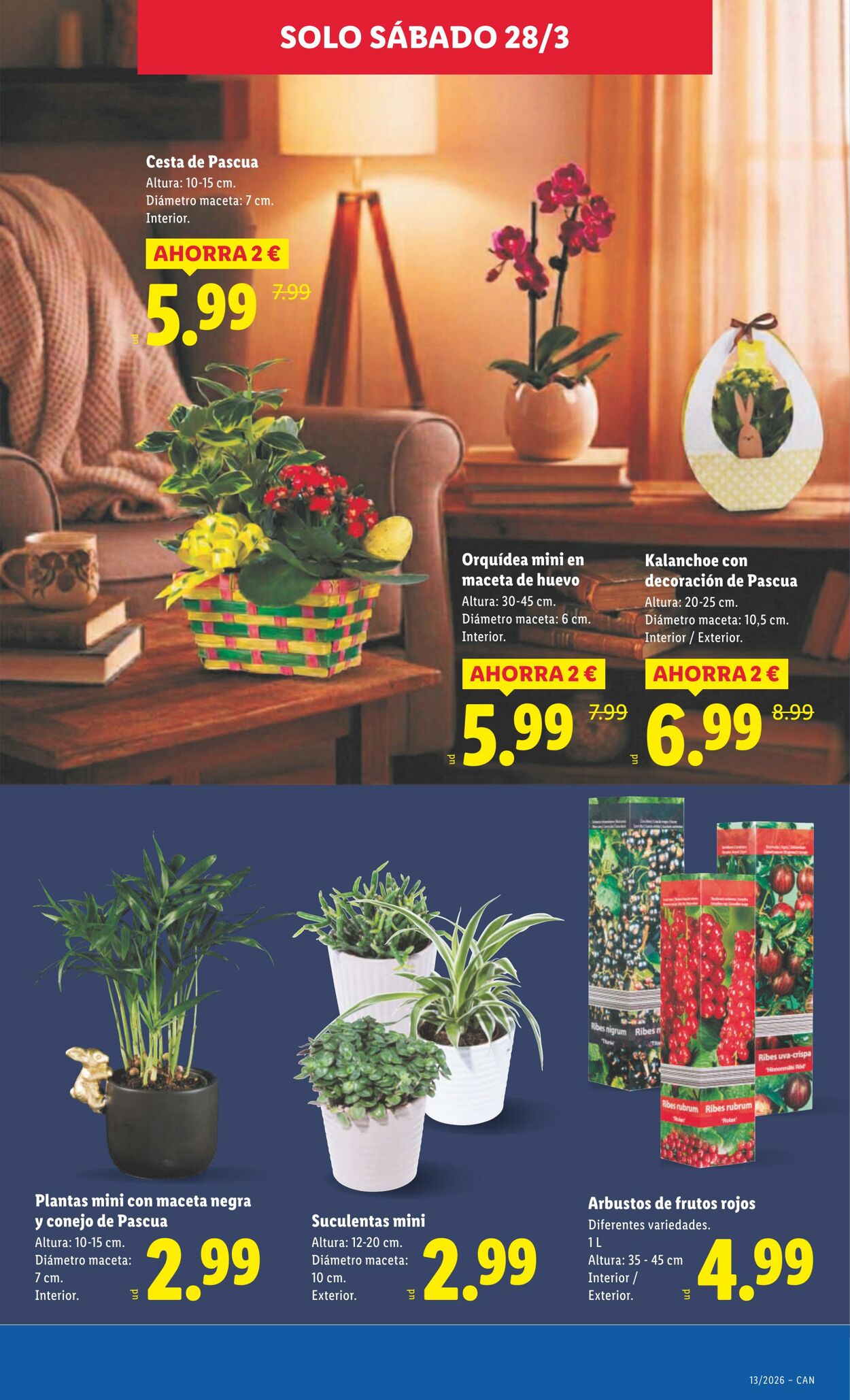 Folleto Lidl 23.03.2026 - 29.03.2026