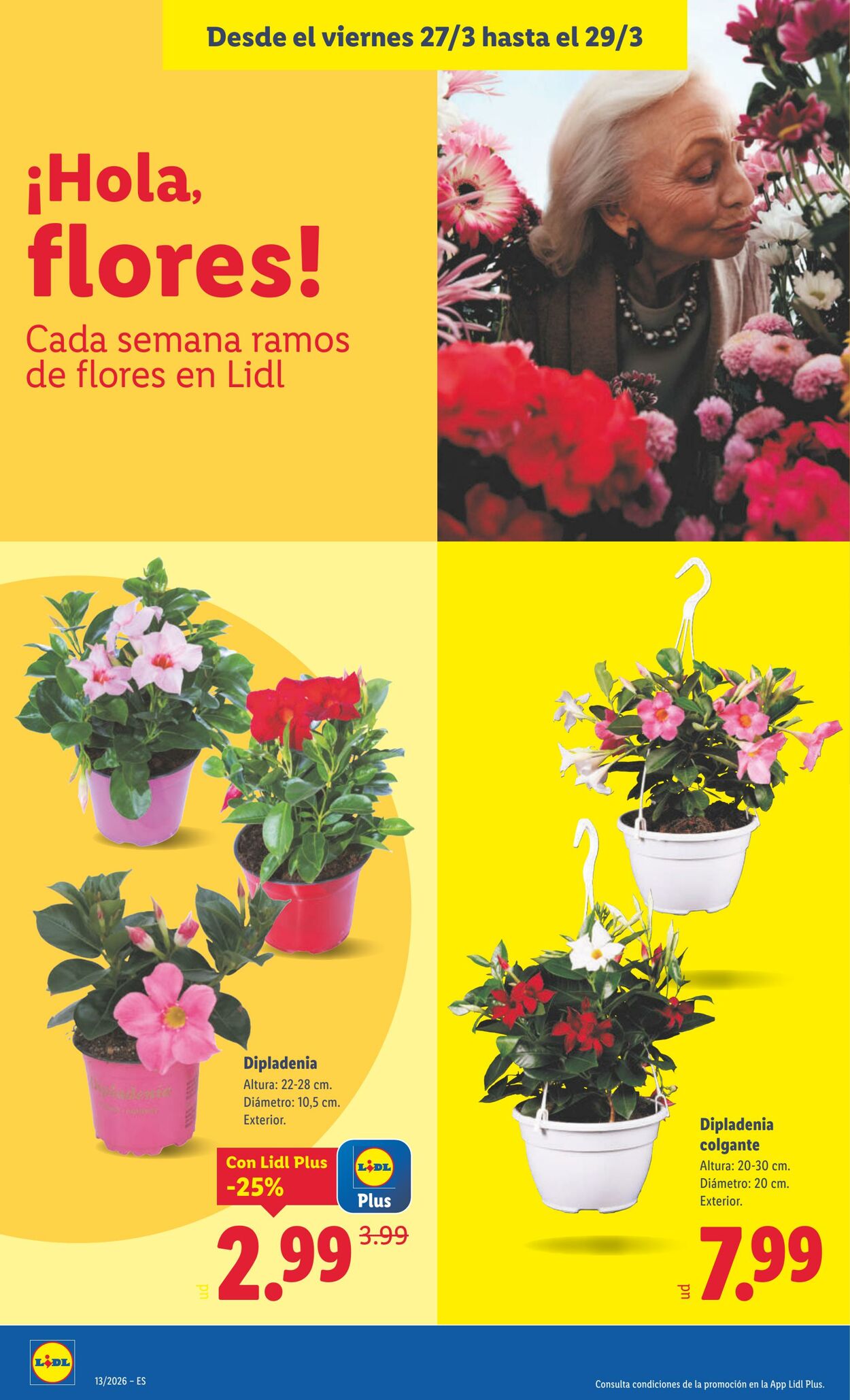Folleto Lidl 23.03.2026 - 29.03.2026
