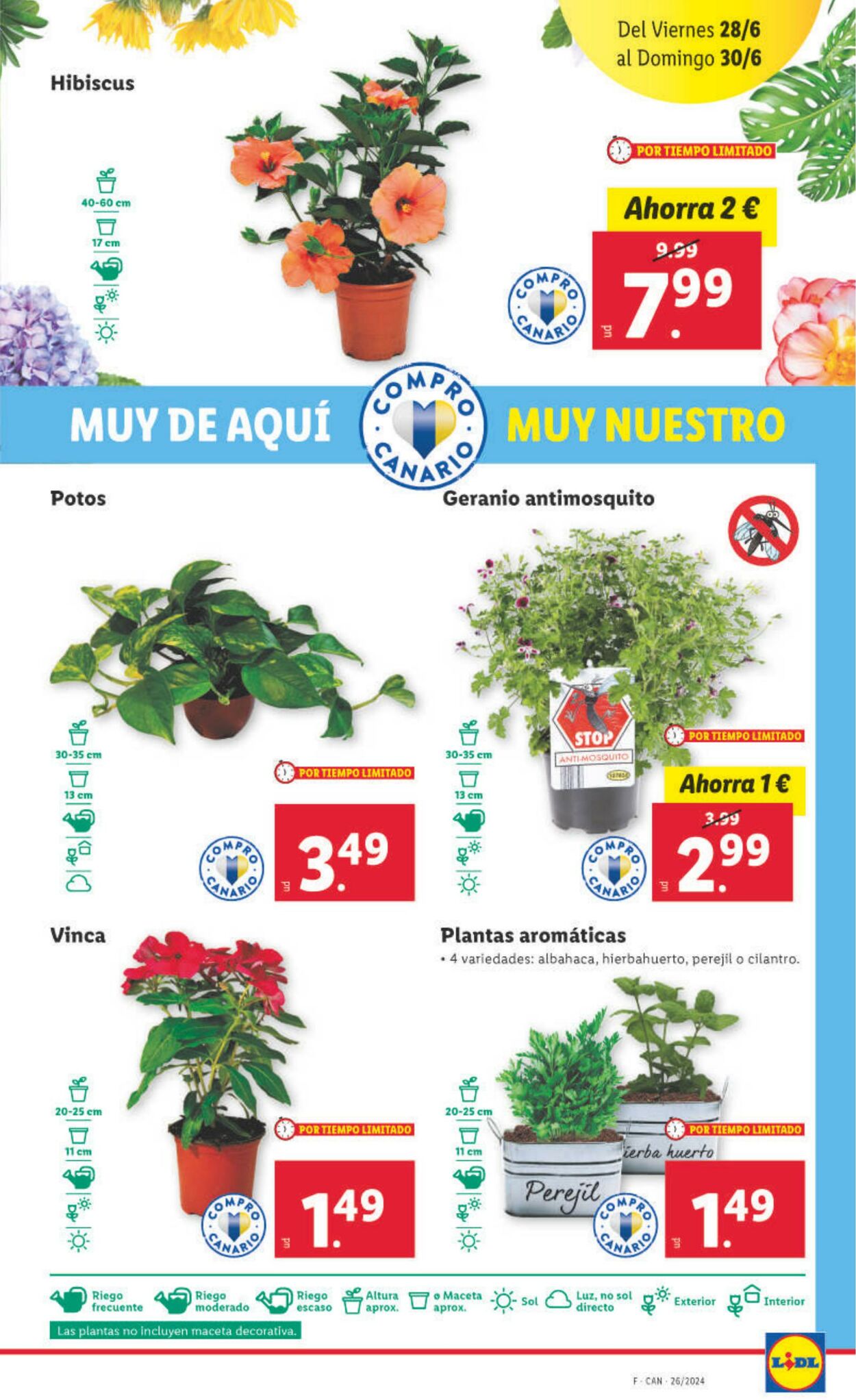 Folleto Lidl 24.06.2024 - 30.06.2024