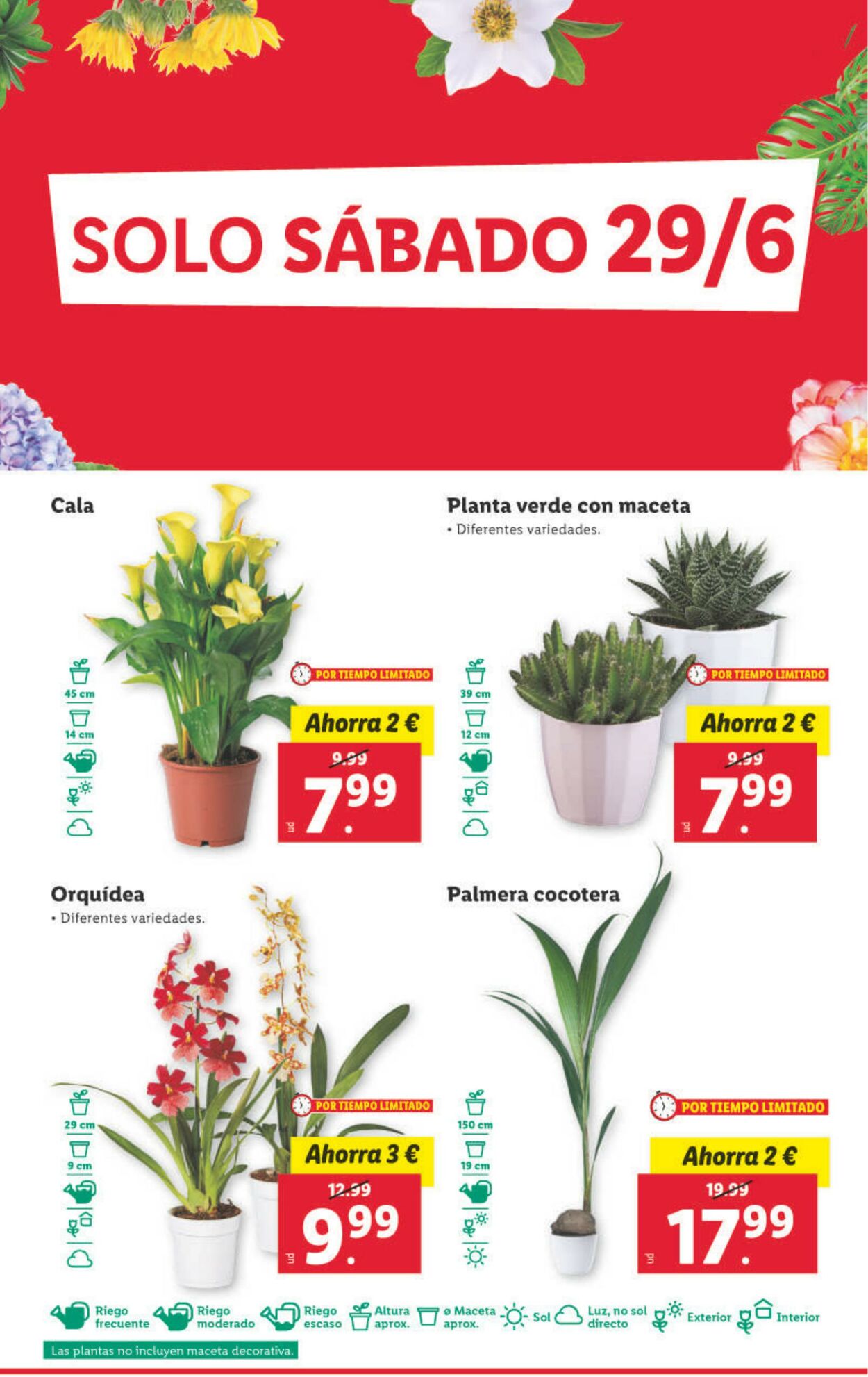 Folleto Lidl 24.06.2024 - 30.06.2024