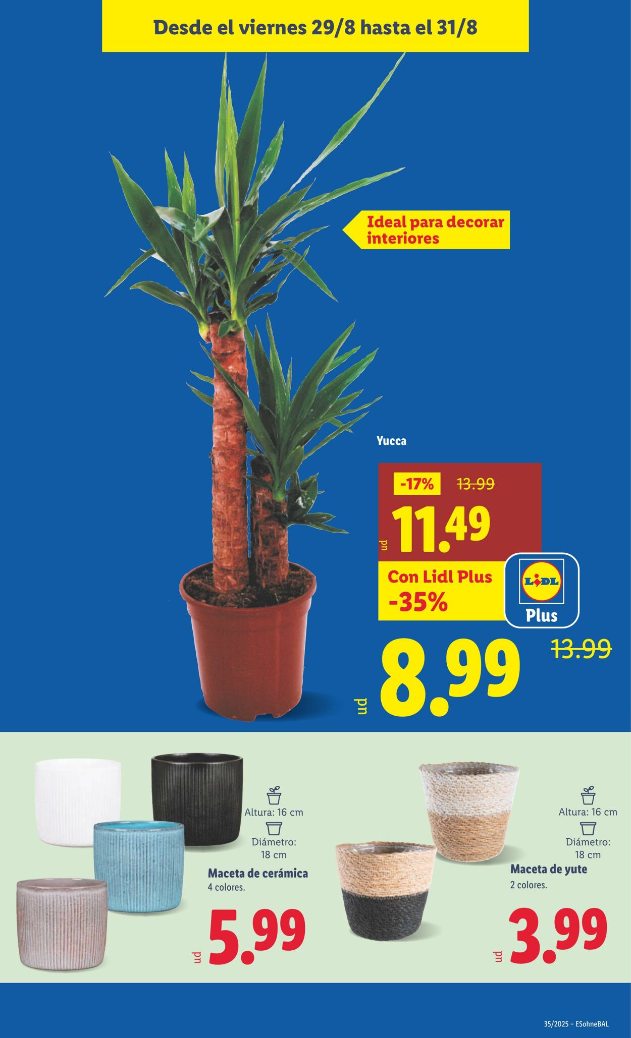 Folleto Lidl 25.08.2025 - 31.08.2025
