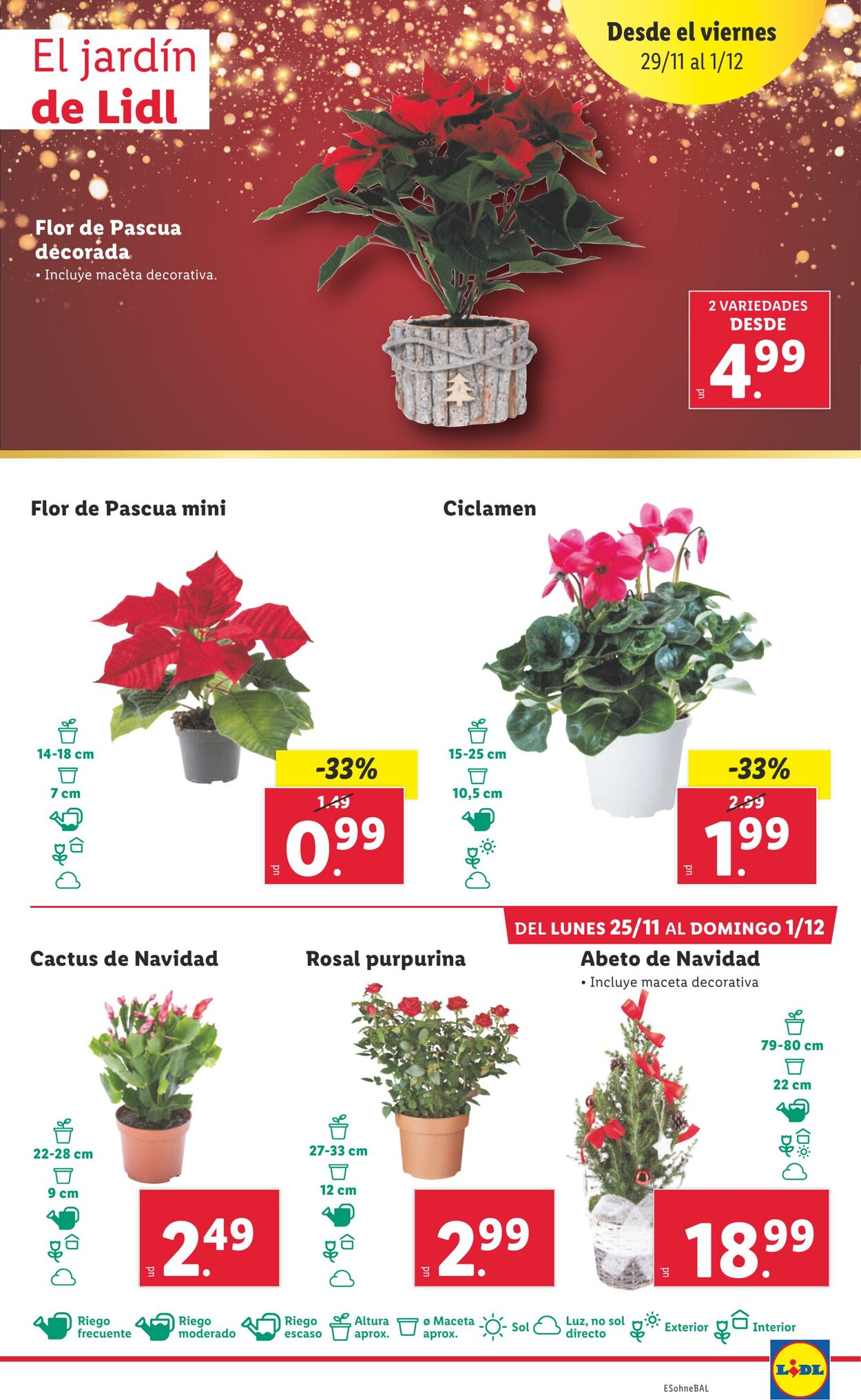 Folleto Lidl 25.11.2024 - 01.12.2024