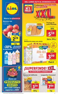 Folleto Lidl 25.11.2024 - 01.12.2024