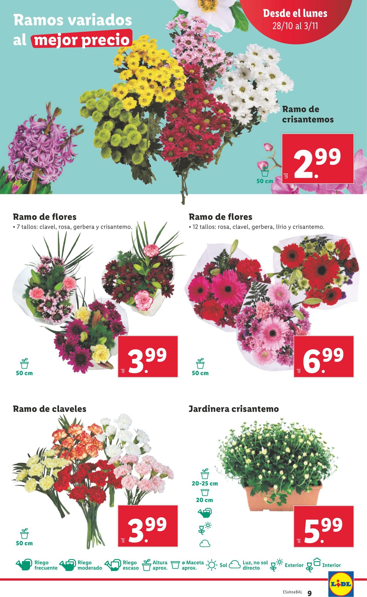 Folleto Lidl 28.10.2024 - 03.11.2024