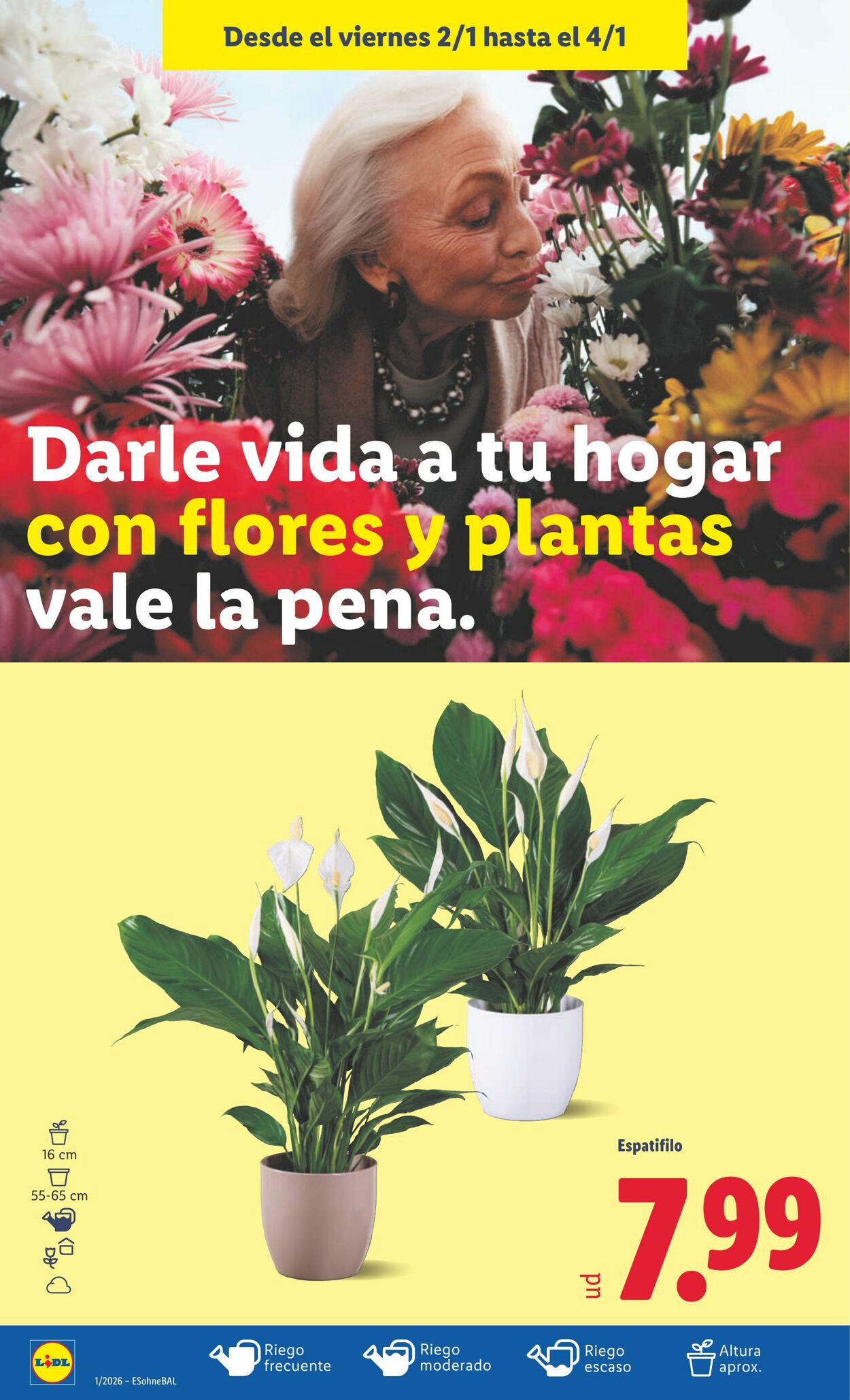 Folleto Lidl 29.12.2025 - 04.01.2026