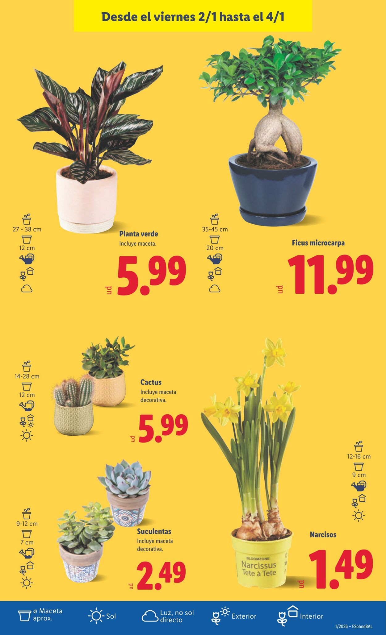 Folleto Lidl 29.12.2025 - 04.01.2026