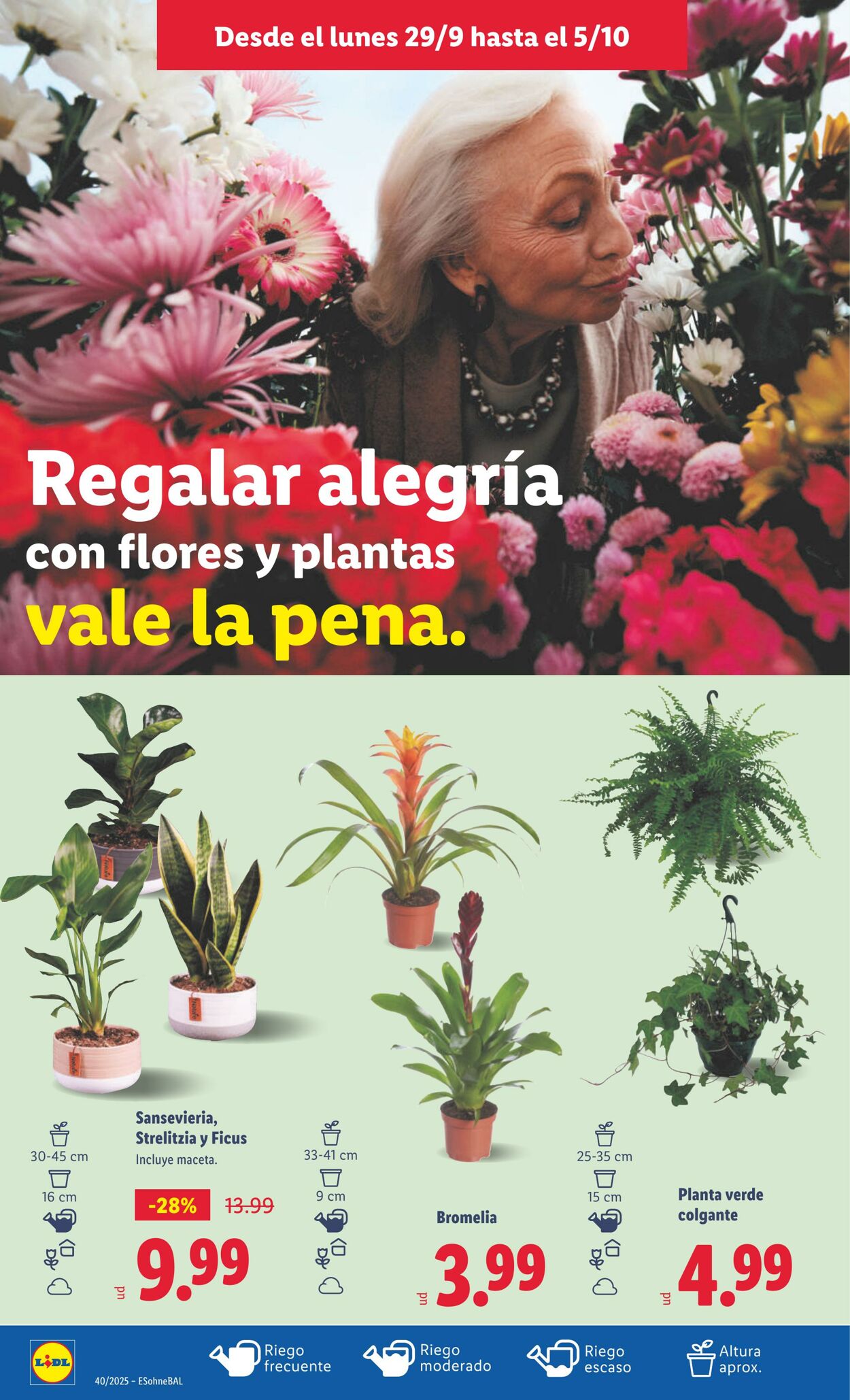 Folleto Lidl 29.09.2025 - 05.10.2025