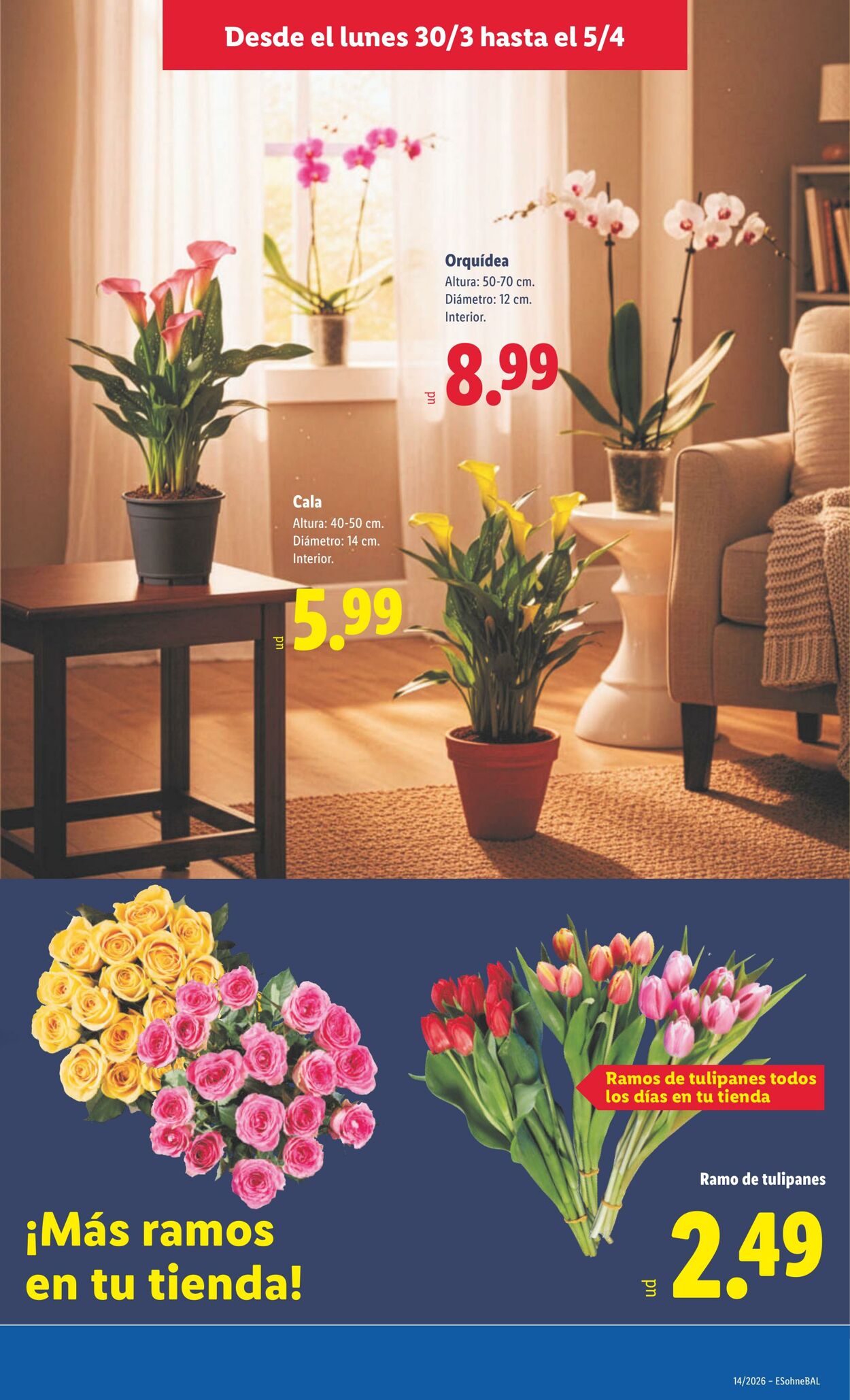 Folleto Lidl 30.03.2026 - 05.04.2026