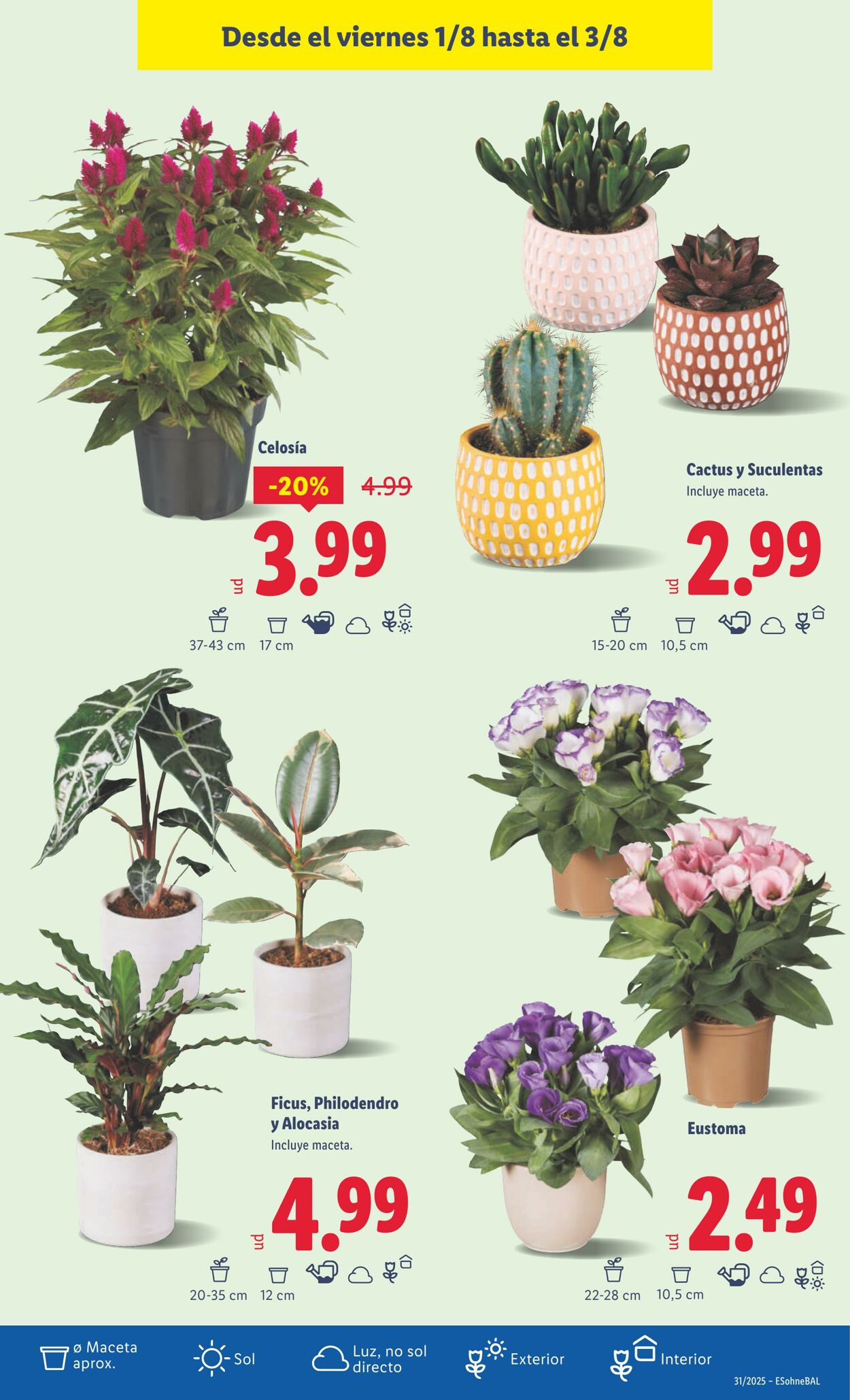 Folleto Lidl 04.08.2025 - 10.08.2025