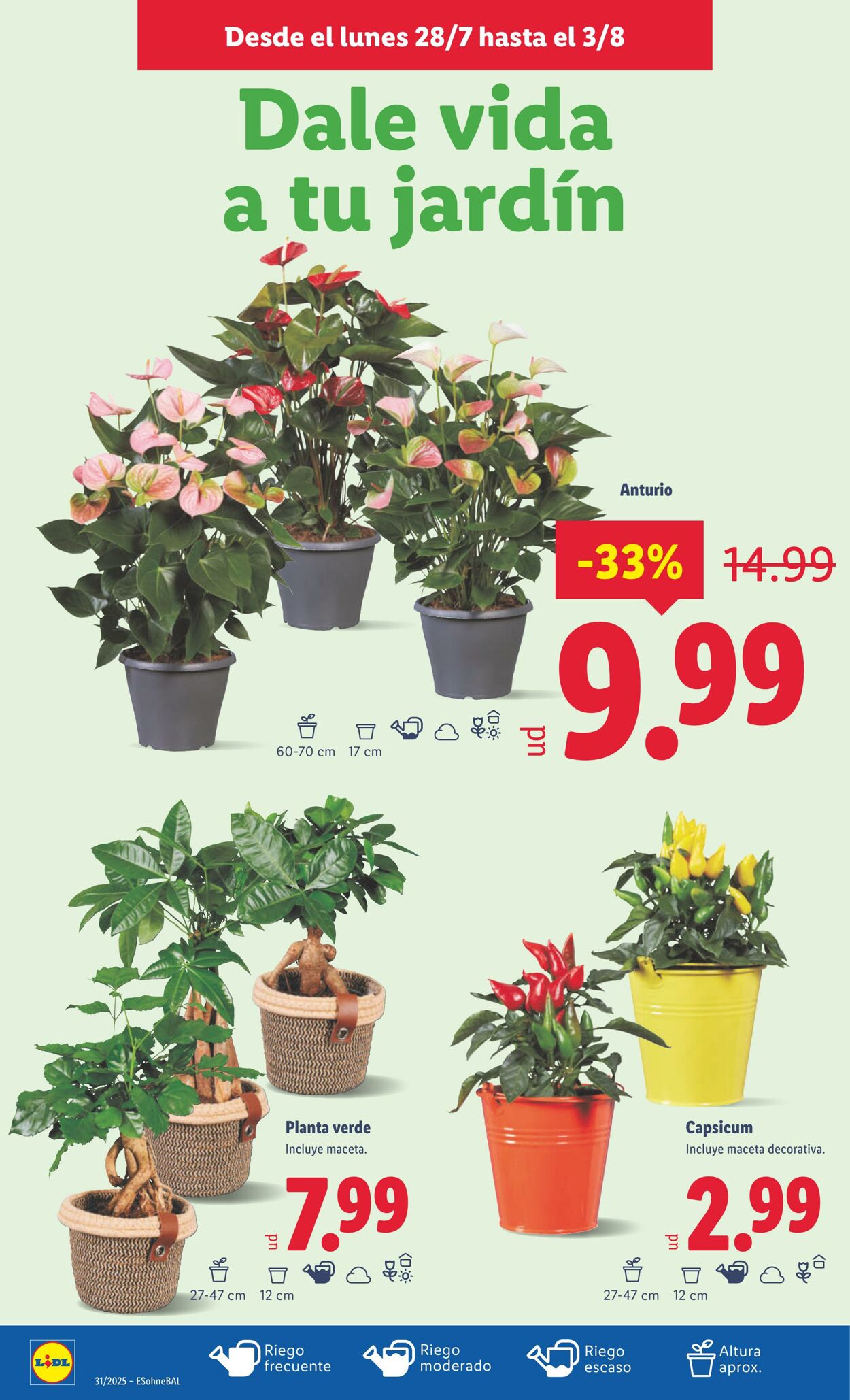 Folleto Lidl 04.08.2025 - 10.08.2025