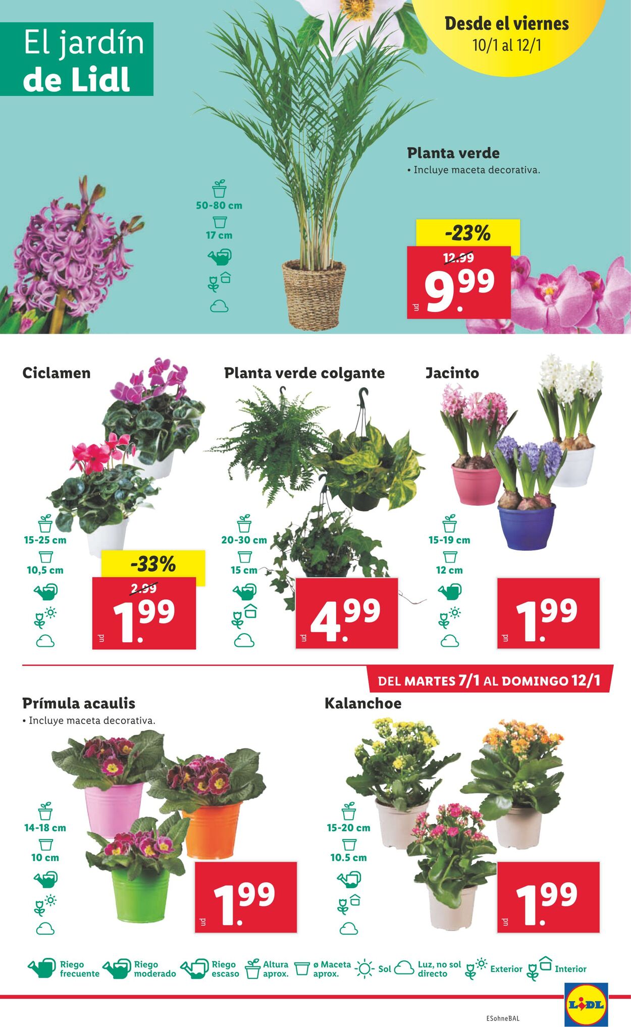 Folleto Lidl 07.01.2025 - 12.01.2025