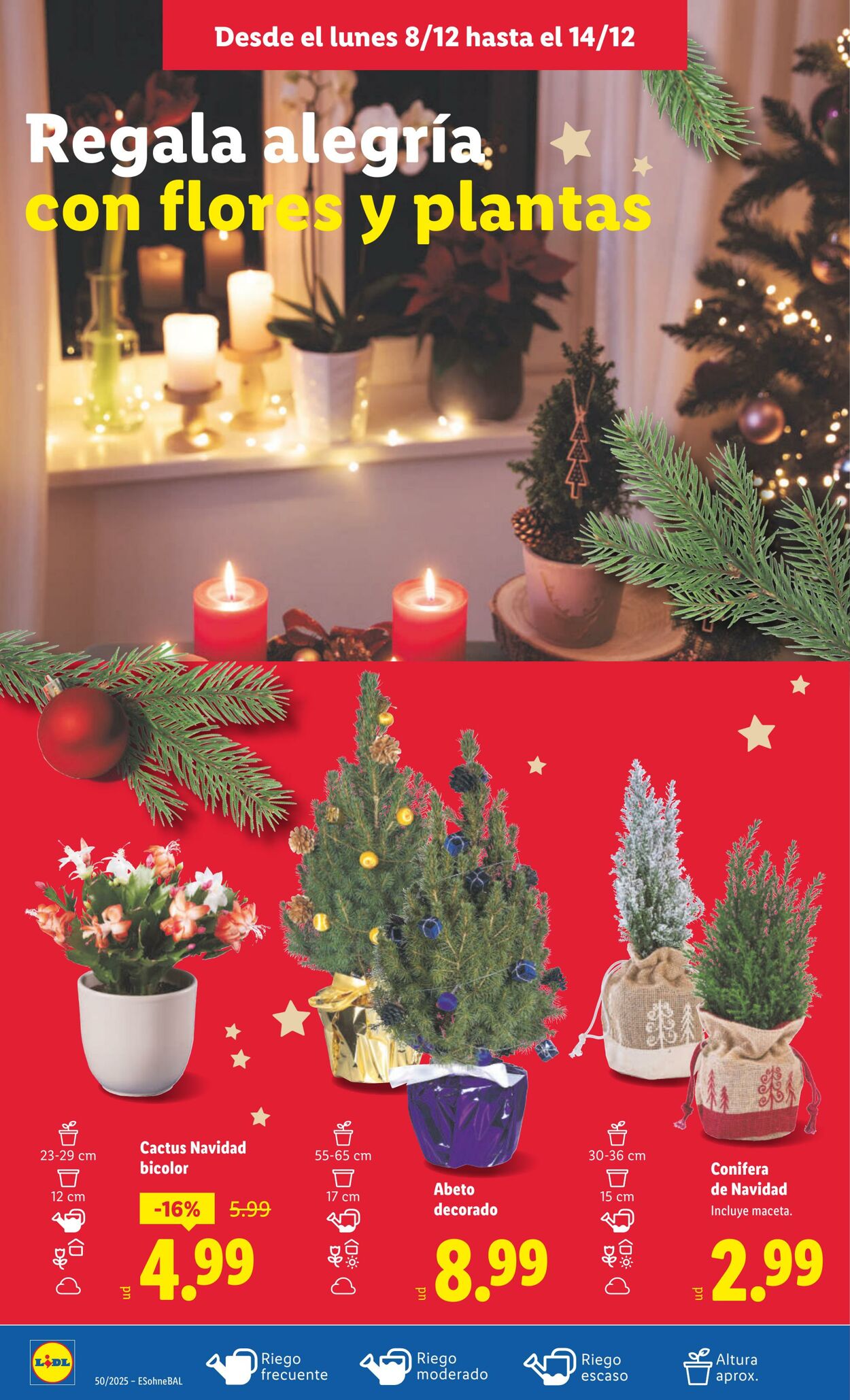 Folleto Lidl 08.12.2025 - 14.12.2025
