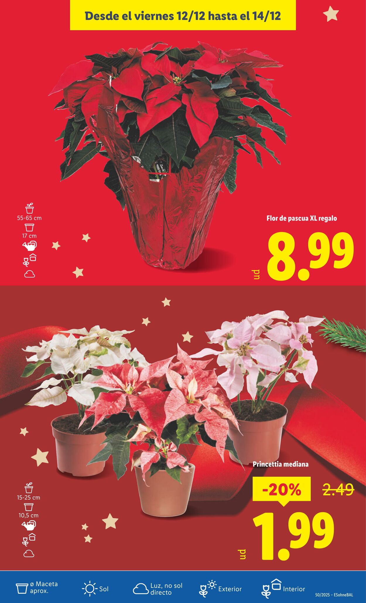 Folleto Lidl 08.12.2025 - 14.12.2025