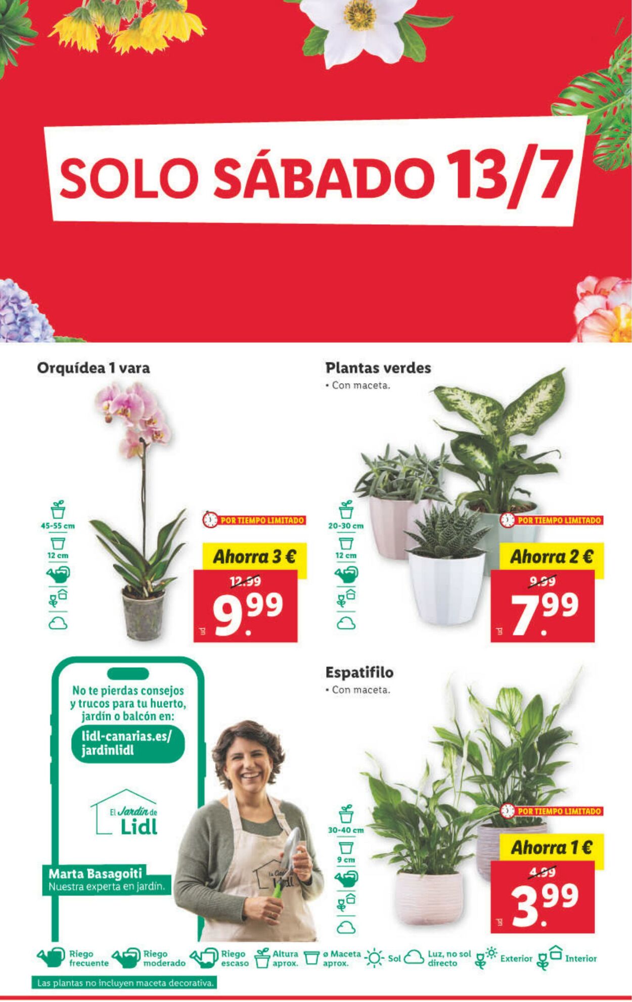 Folleto Lidl 08.07.2024 - 14.07.2024