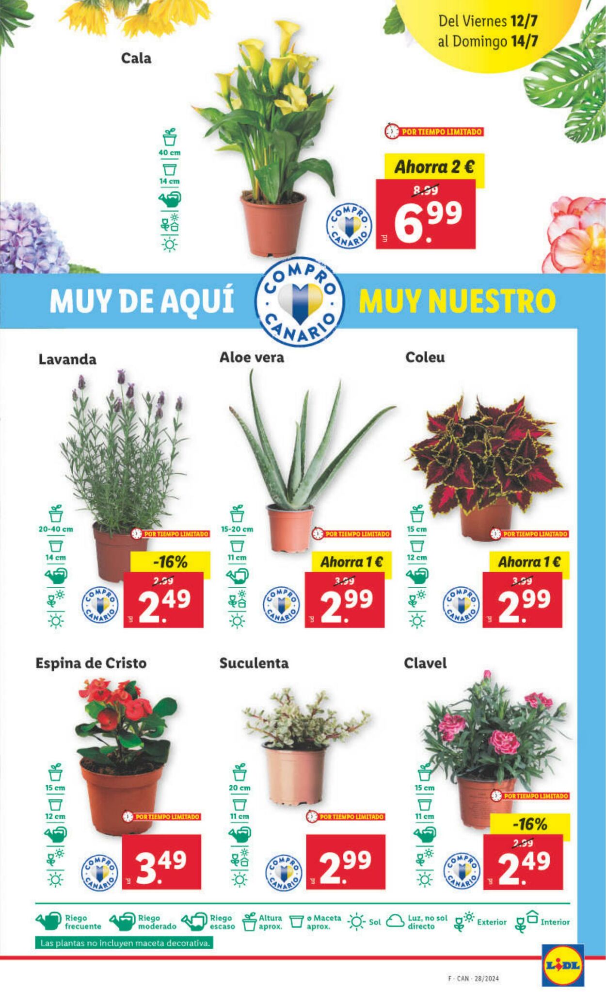 Folleto Lidl 08.07.2024 - 14.07.2024