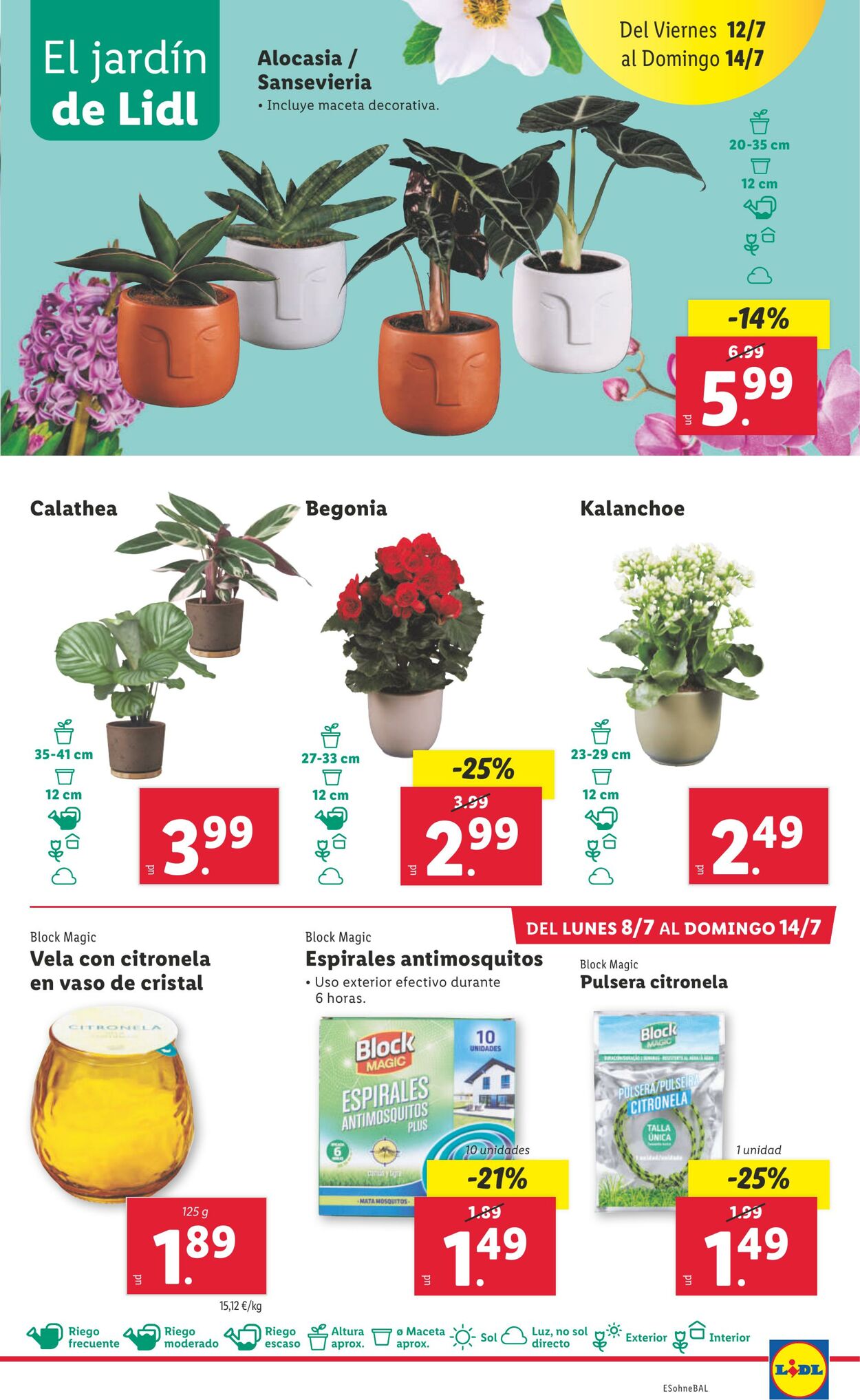 Folleto Lidl 08.07.2024 - 14.07.2024