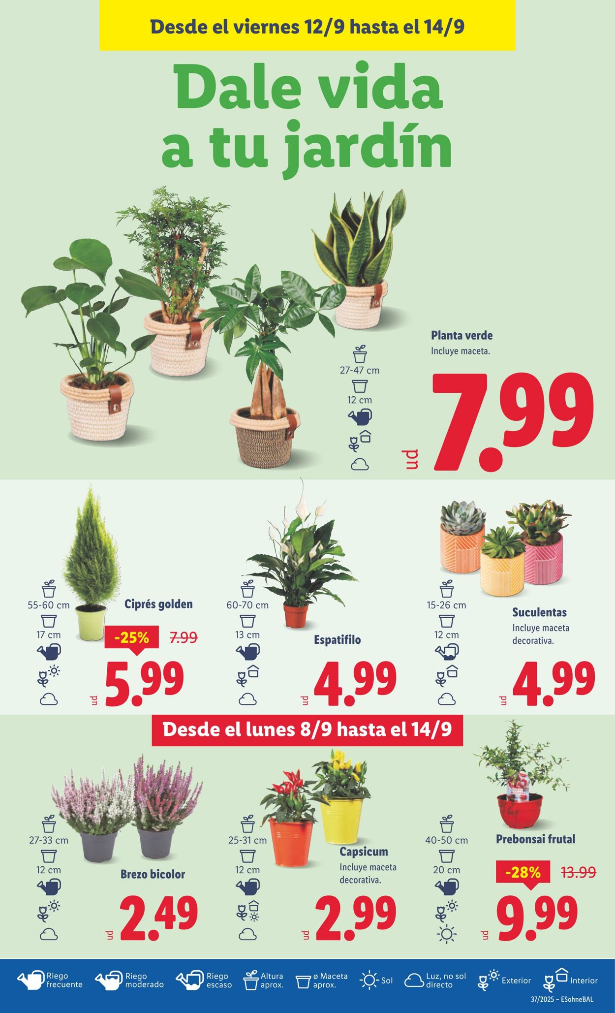 Folleto Lidl 08.09.2025 - 14.09.2025