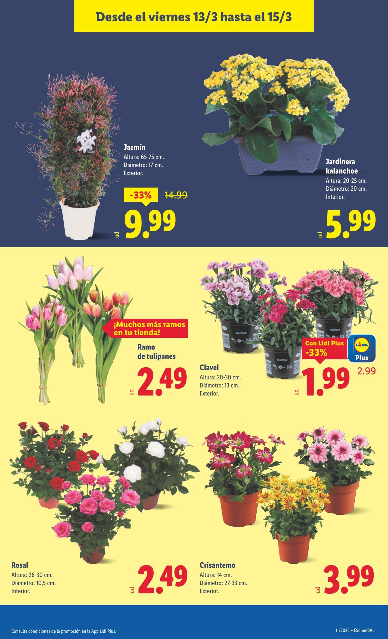 Folleto Lidl 02.03.2026 - 08.03.2026