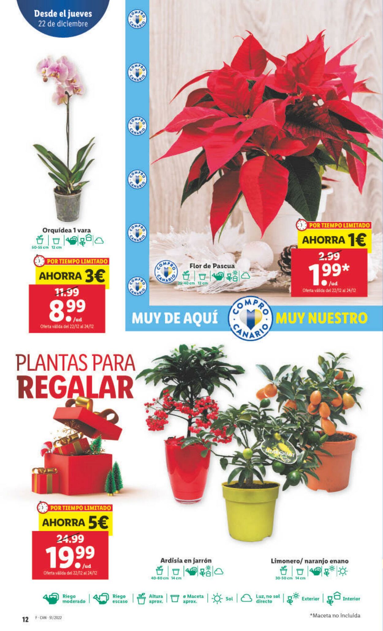 Folleto Lidl 22.12.2022 - 28.12.2022