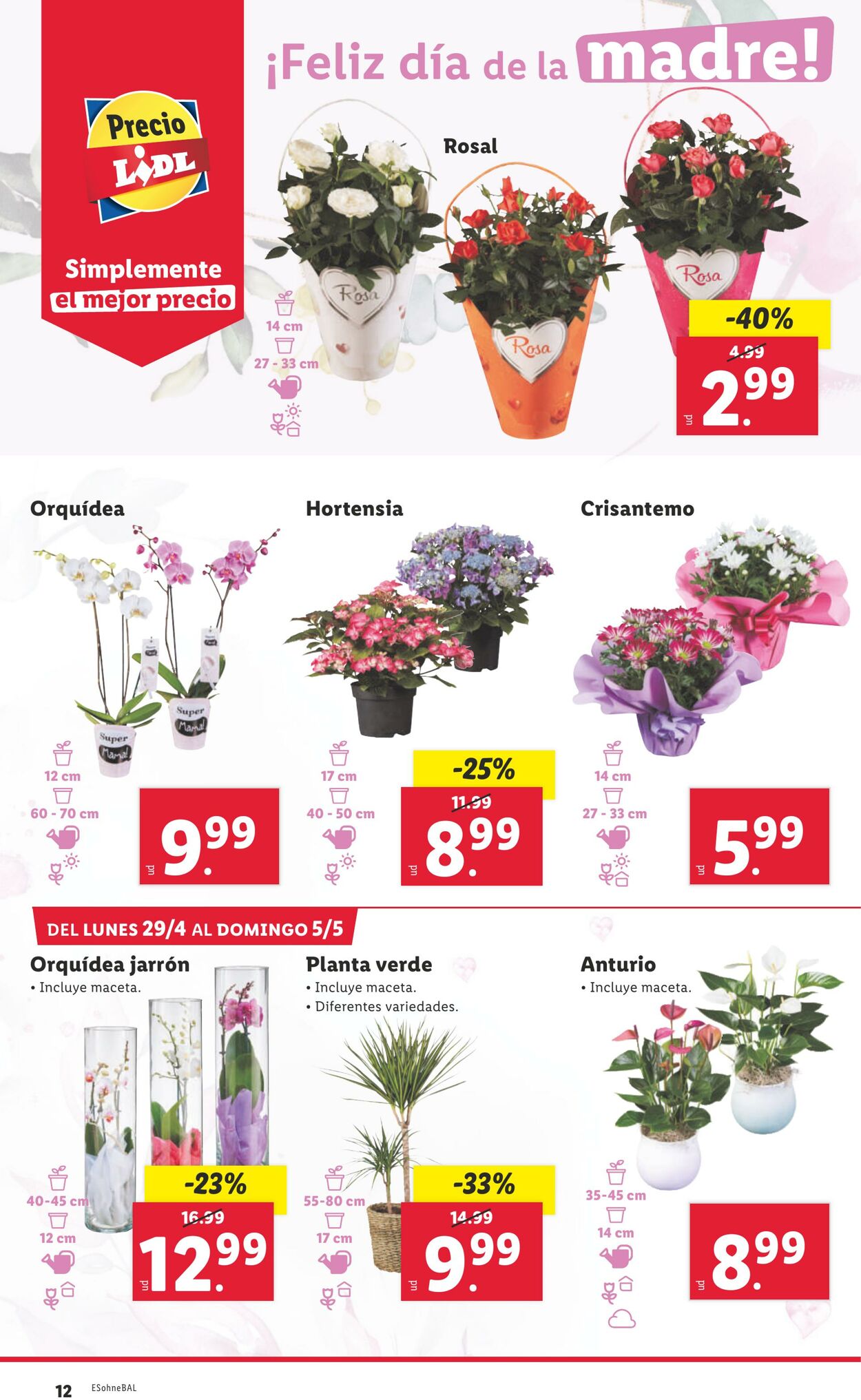 Folleto Lidl 29.04.2024 - 05.05.2024