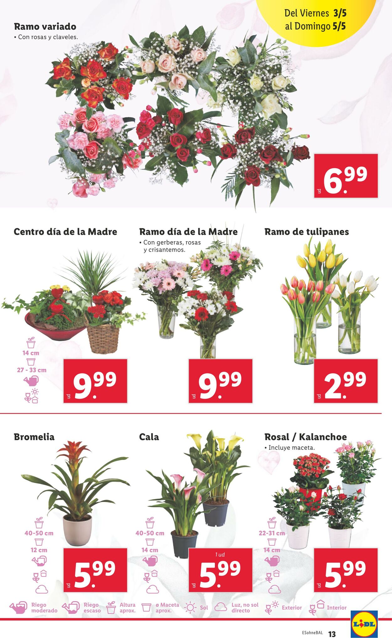 Folleto Lidl 29.04.2024 - 05.05.2024