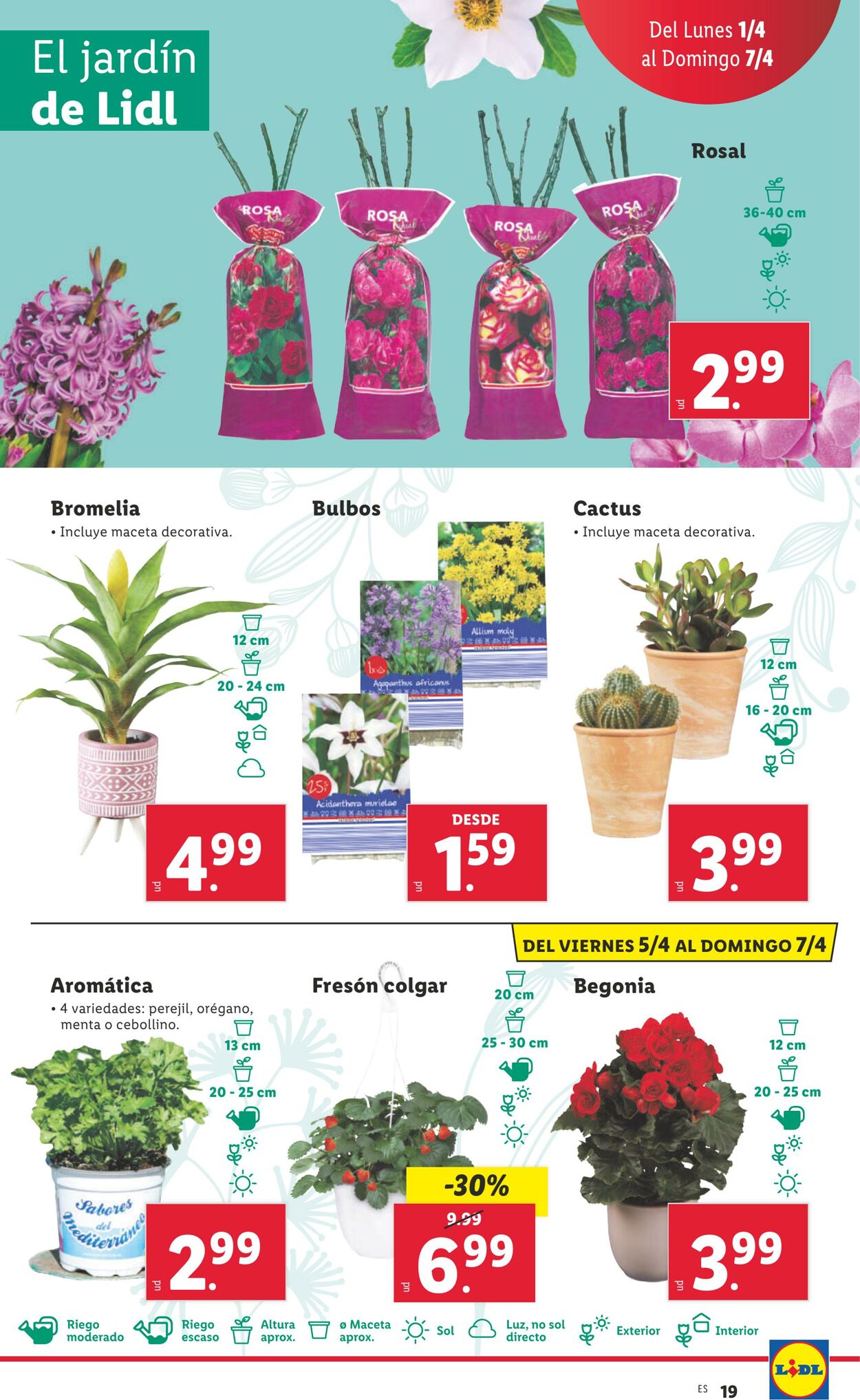 Folleto Lidl 01.04.2024 - 07.04.2024