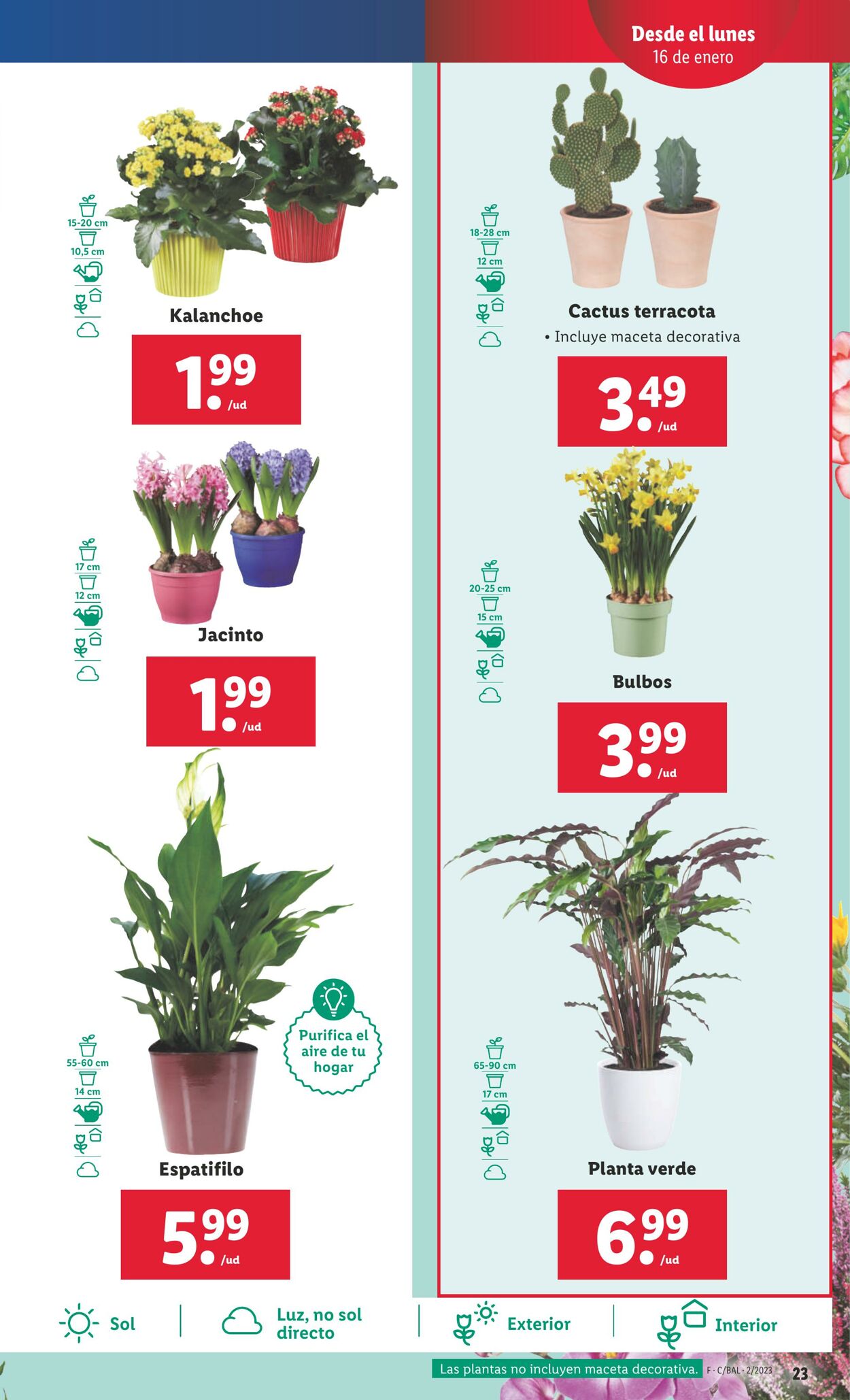 Folleto Lidl 12.01.2023 - 18.01.2023