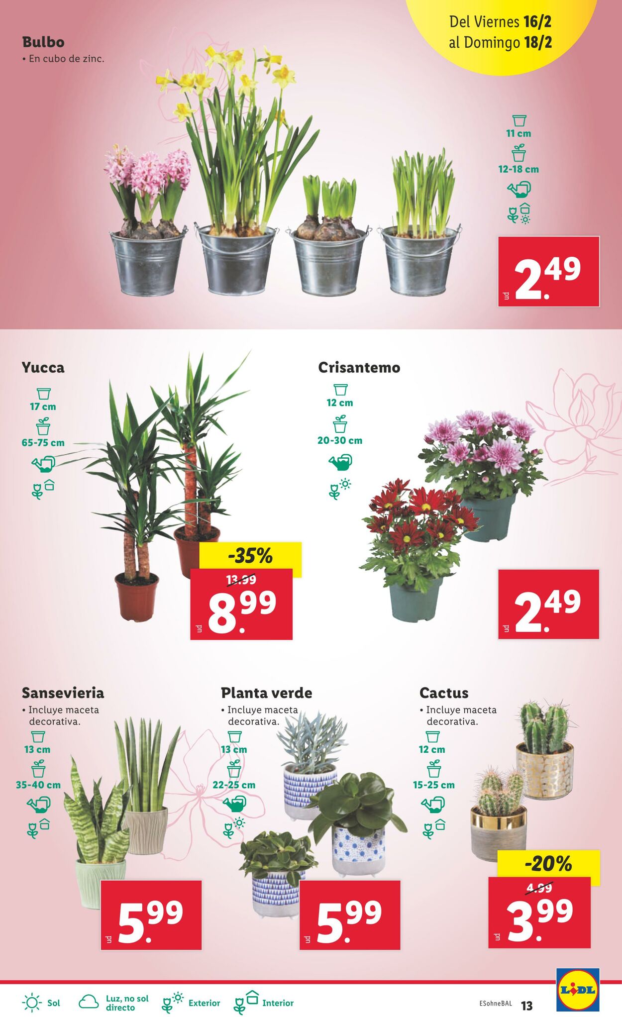 Folleto Lidl 12.02.2024 - 18.02.2024