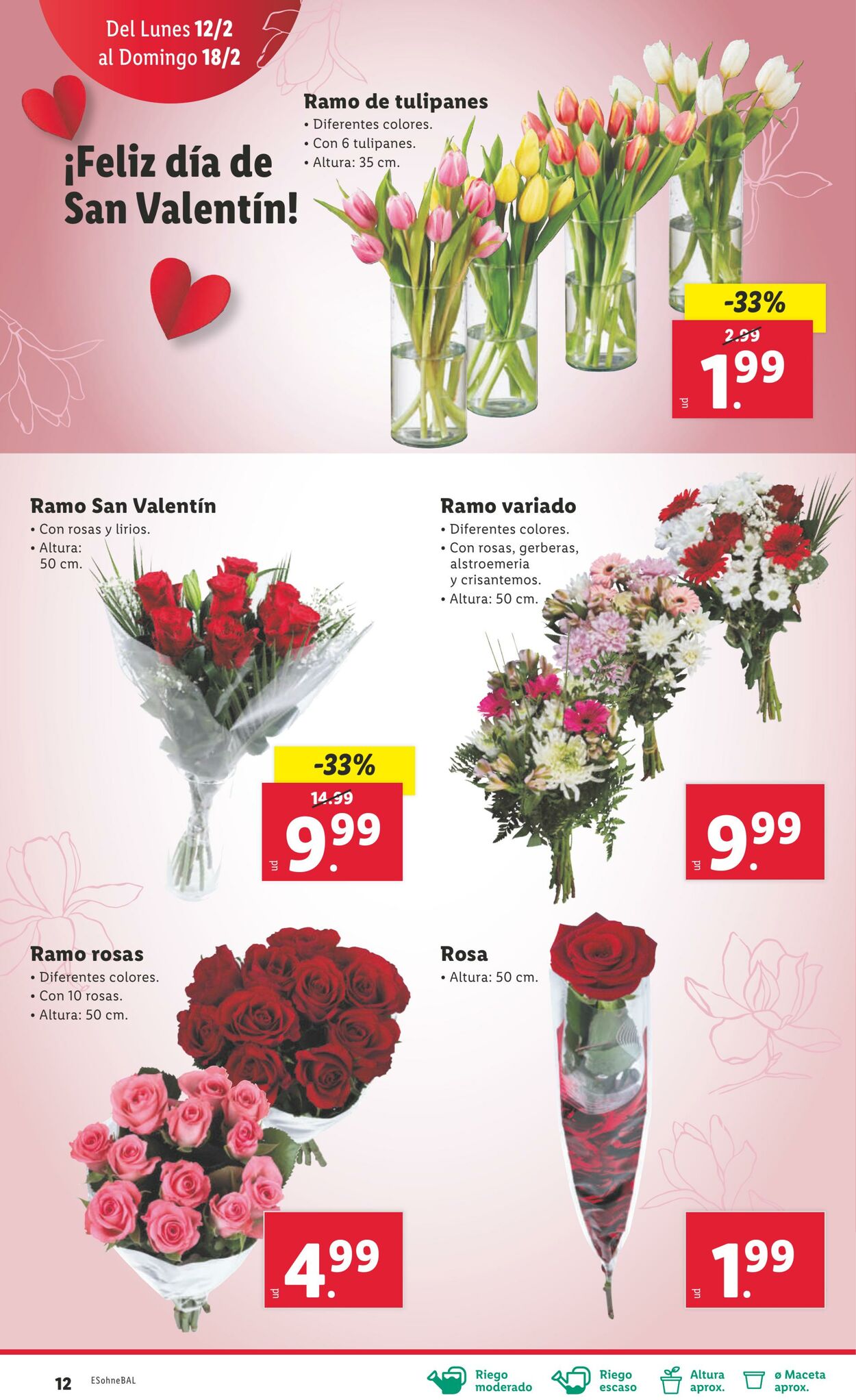 Folleto Lidl 12.02.2024 - 18.02.2024