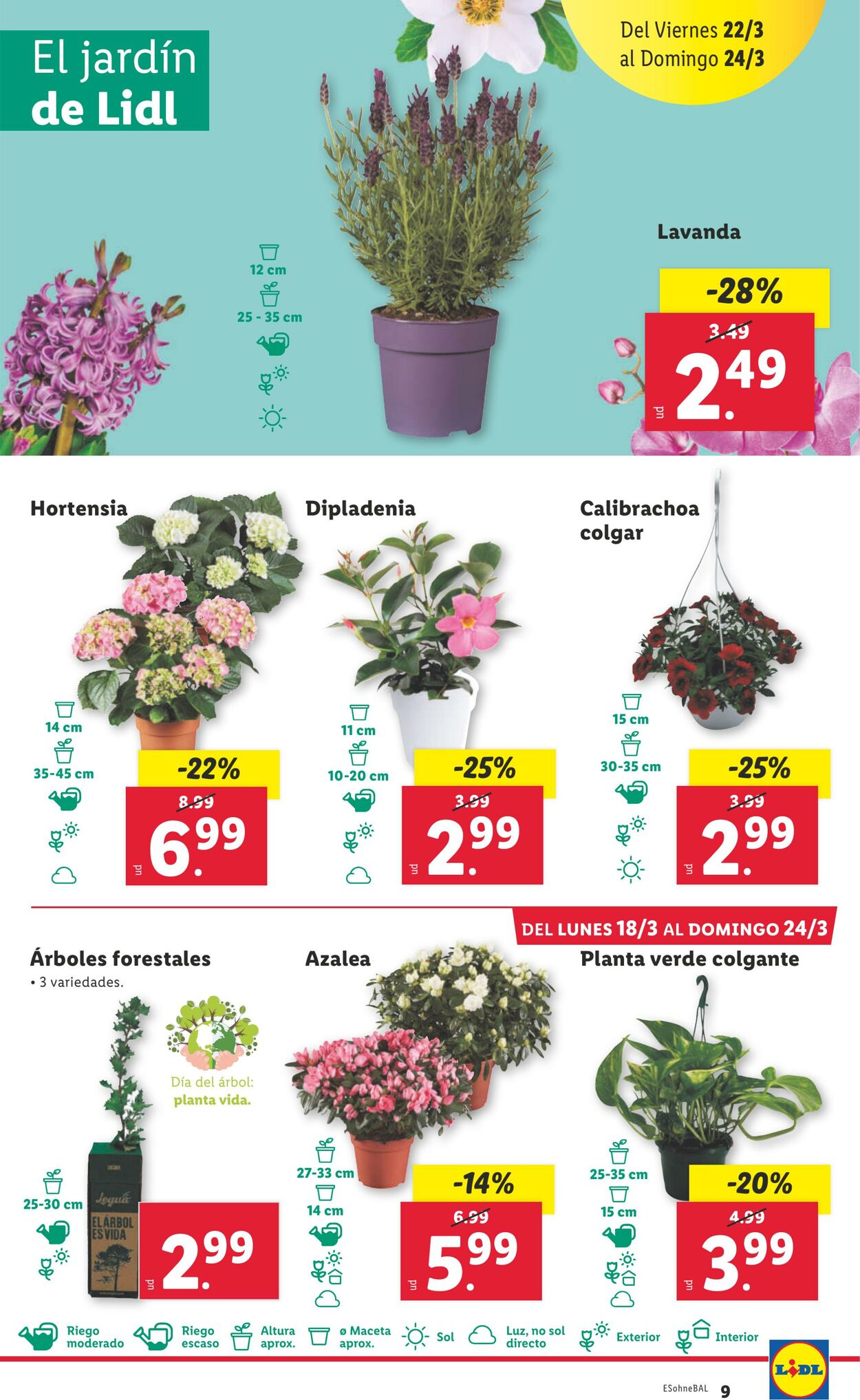 Folleto Lidl 18.03.2024 - 24.03.2024