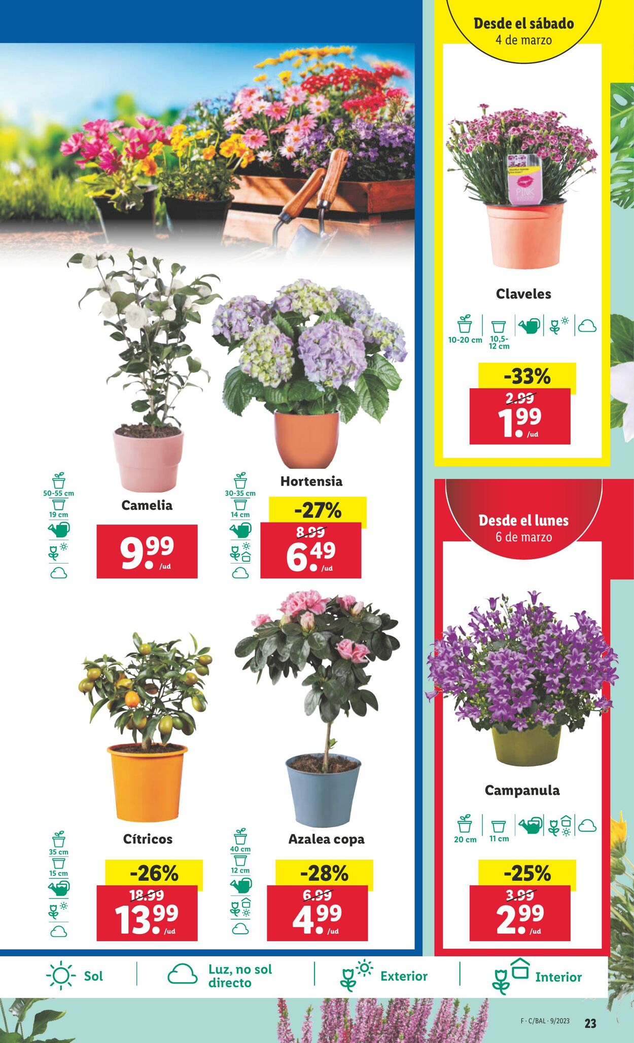 Folleto Lidl 02.03.2023 - 08.03.2023