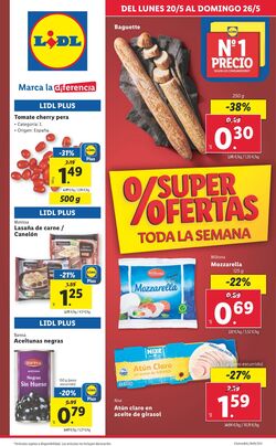 Folleto Lidl 13.03.2024 - 18.11.2024