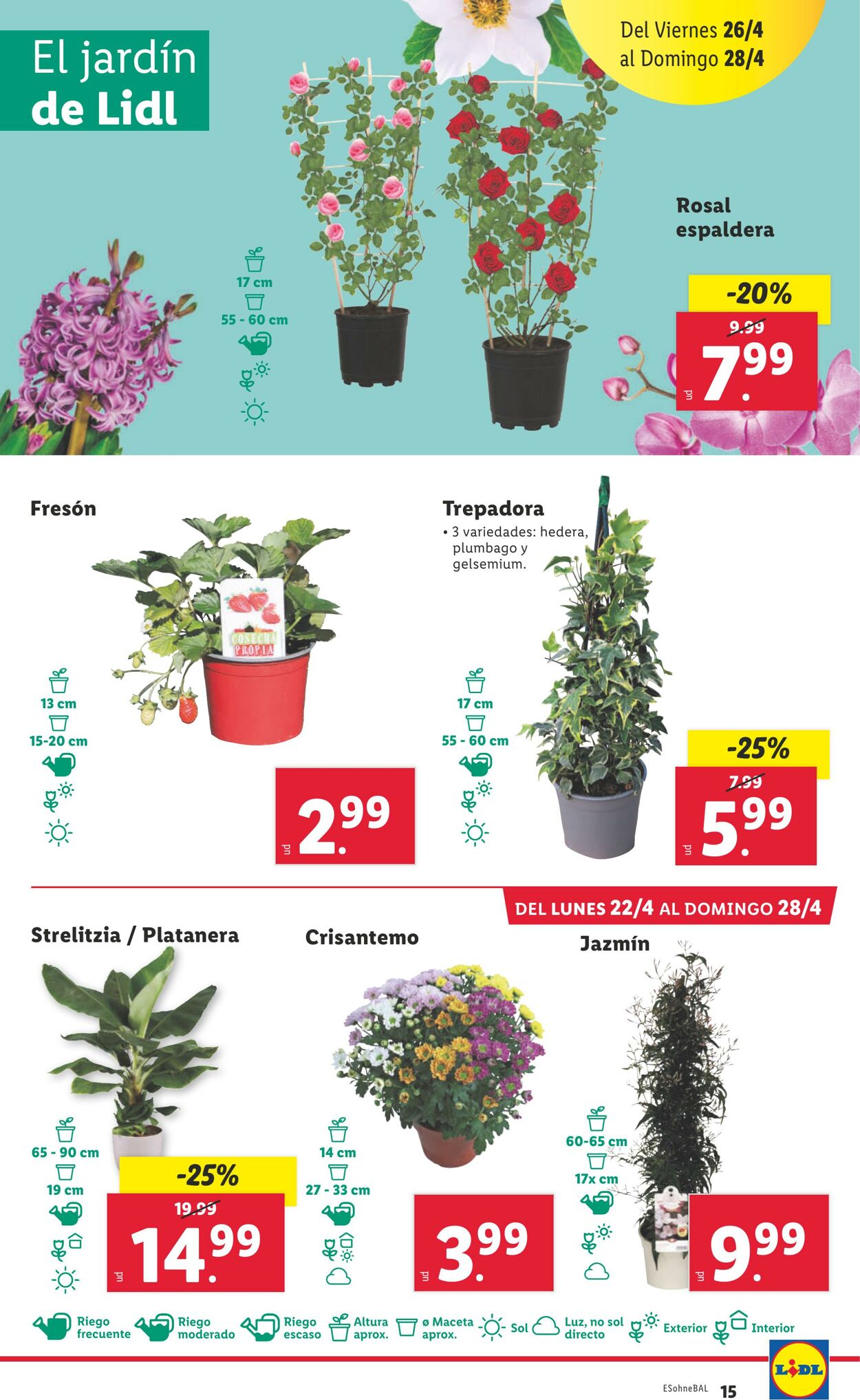 Folleto Lidl 22.04.2024 - 28.04.2024