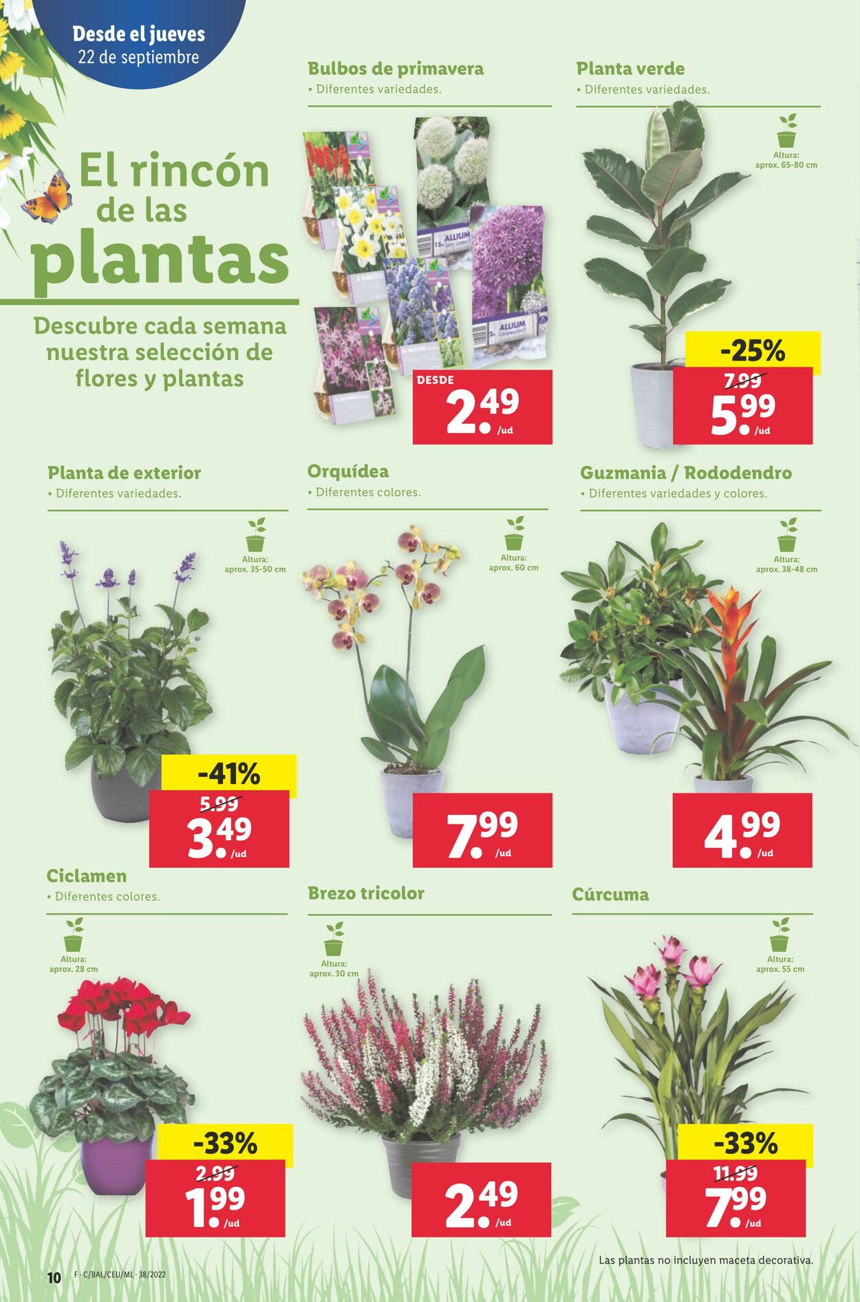 Folleto Lidl 22.09.2022 - 28.09.2022