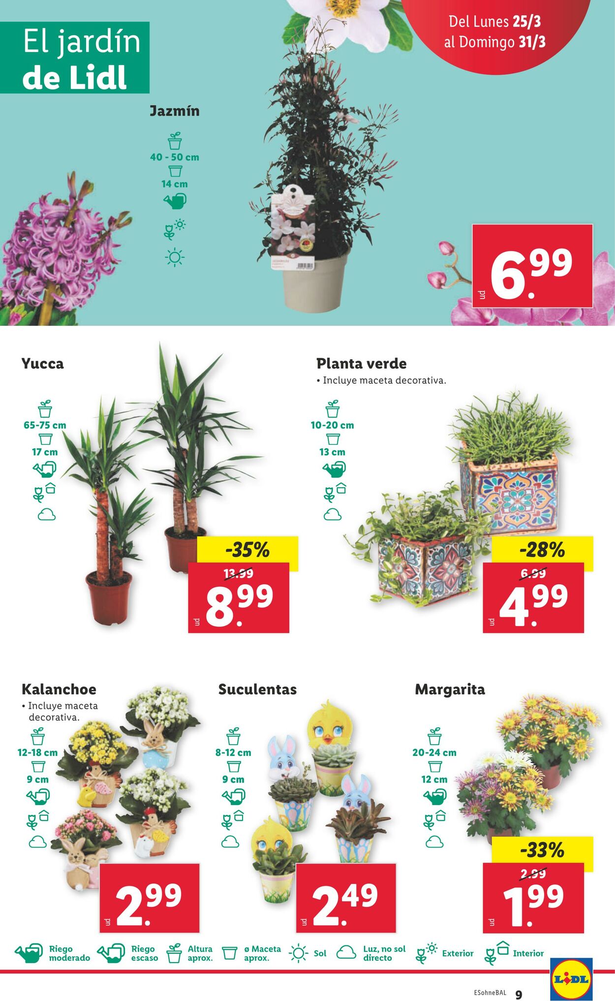 Folleto Lidl 25.03.2024 - 31.03.2024