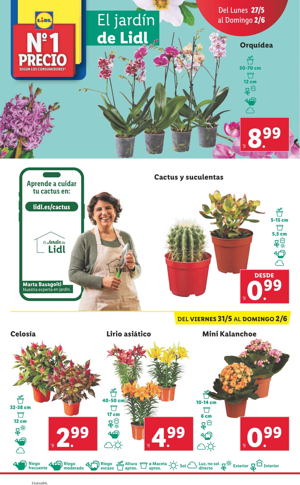 Folleto Lidl 27.05.2024 - 02.06.2024