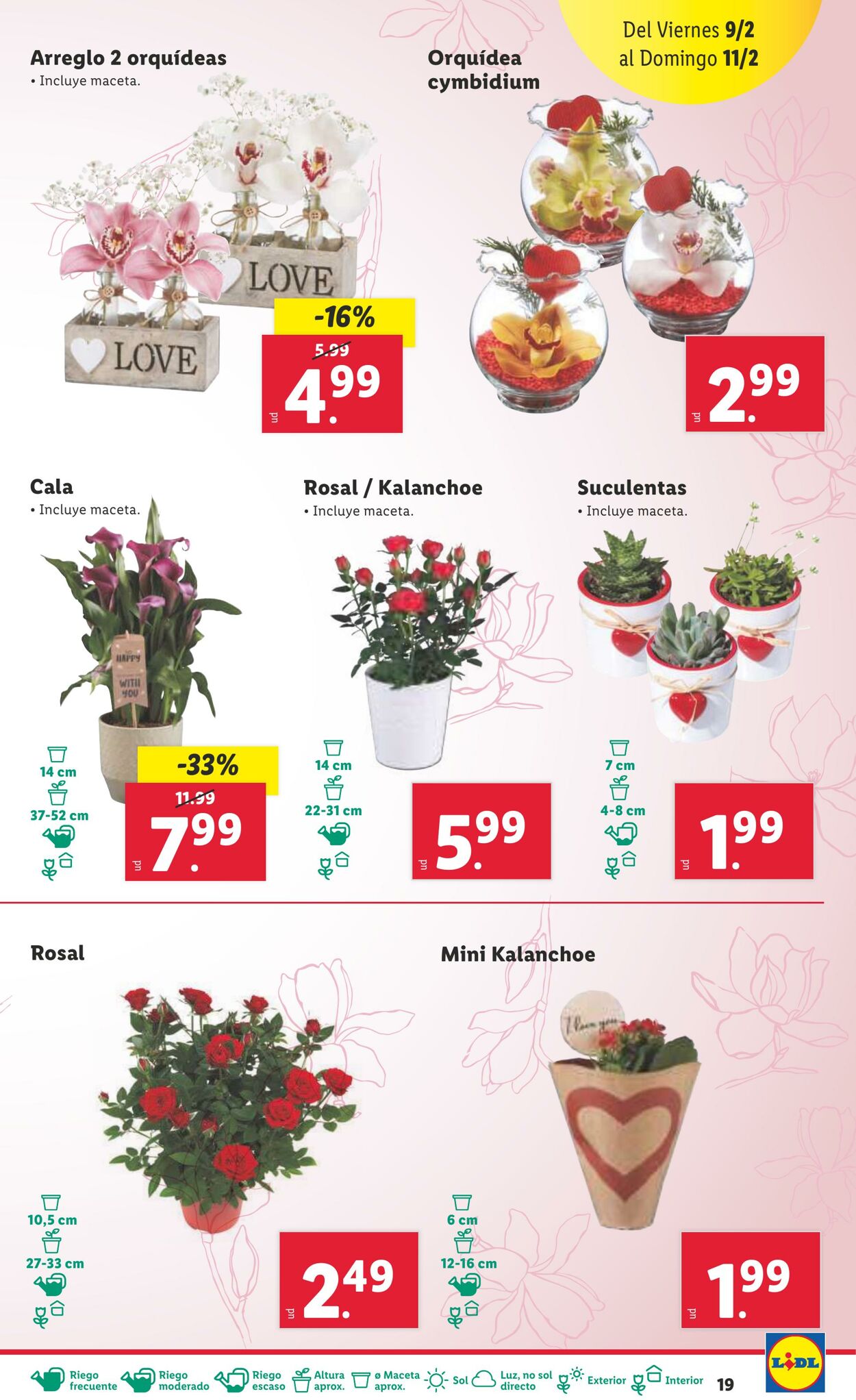 Folleto Lidl 05.02.2024 - 11.02.2024