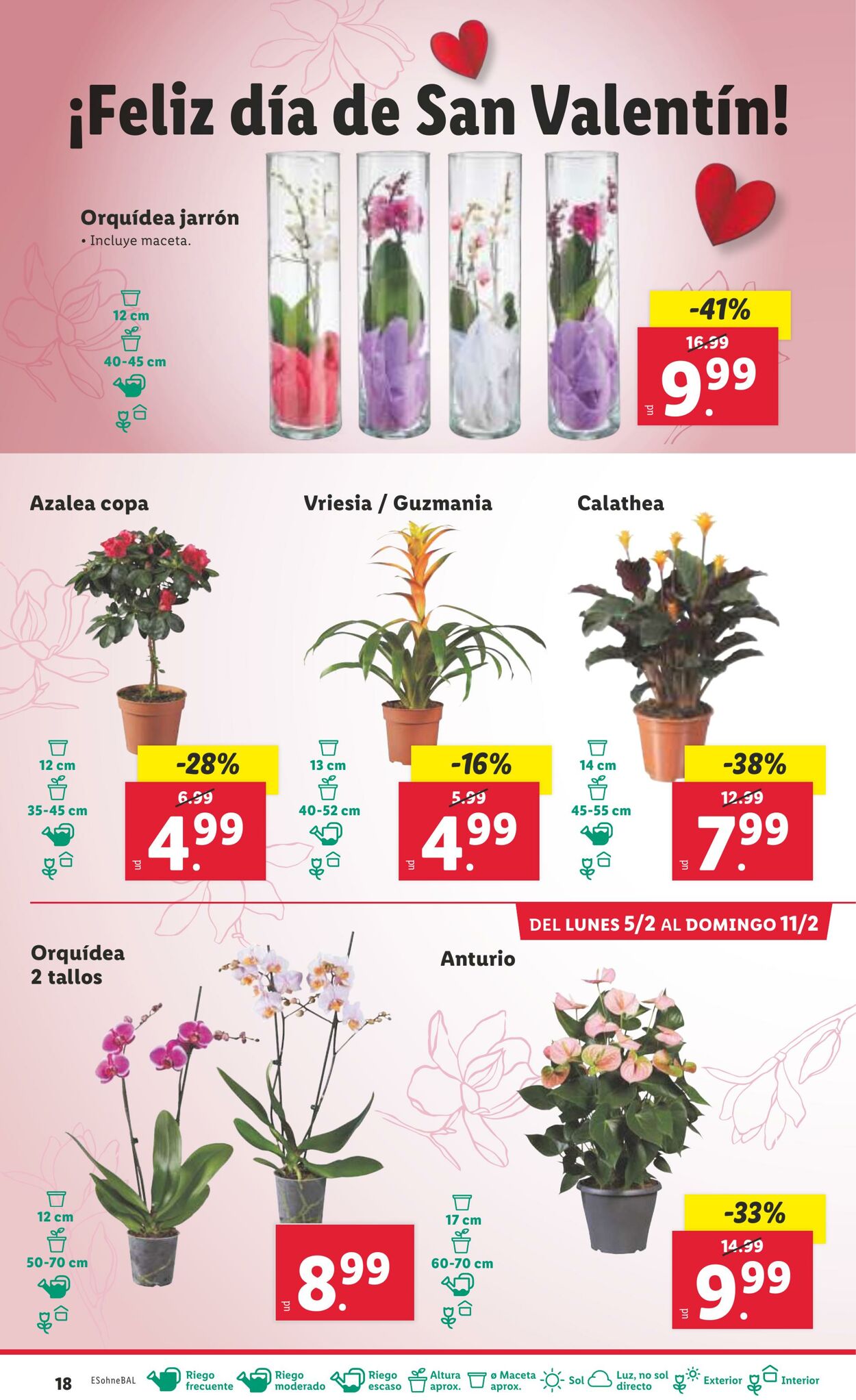 Folleto Lidl 05.02.2024 - 11.02.2024