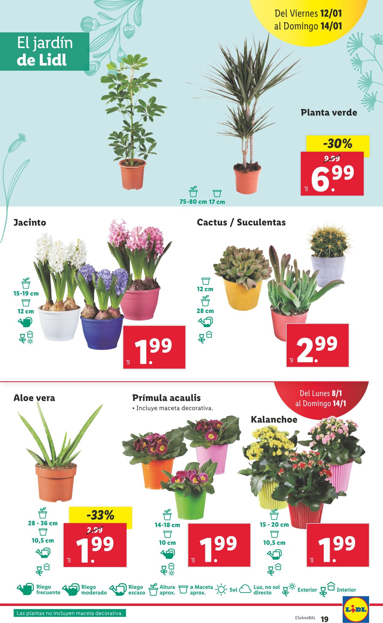 Folleto Lidl 08.01.2024 - 14.01.2024