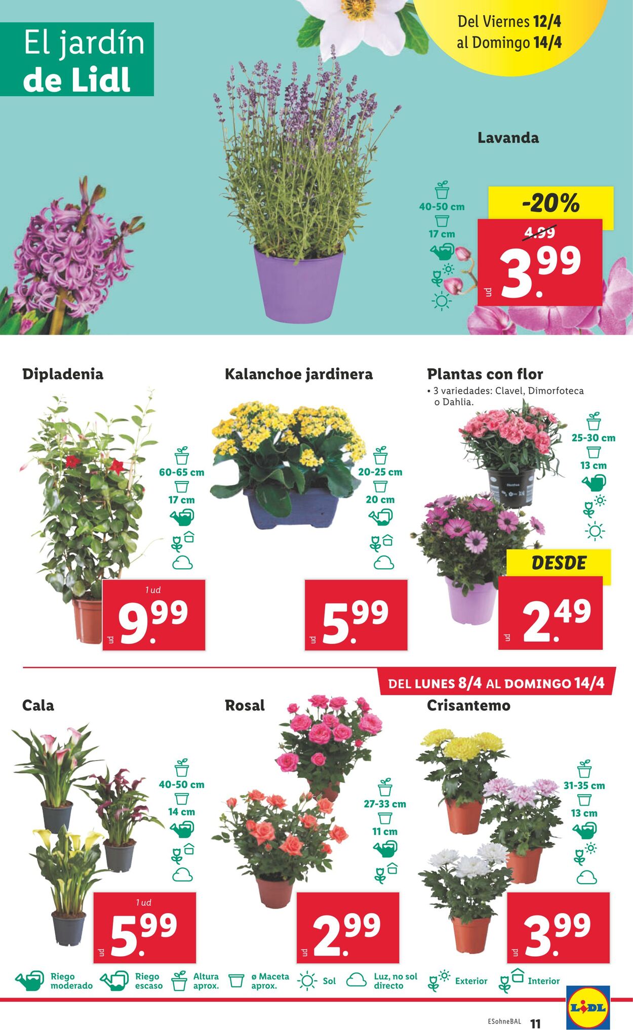 Folleto Lidl 08.04.2024 - 14.04.2024