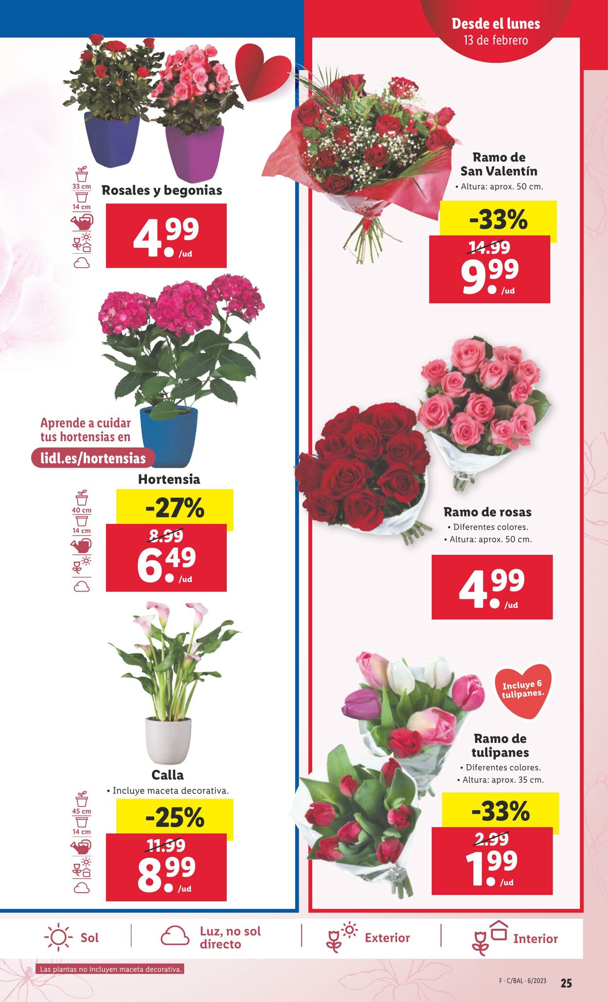 Folleto Lidl 09.02.2023 - 15.02.2023