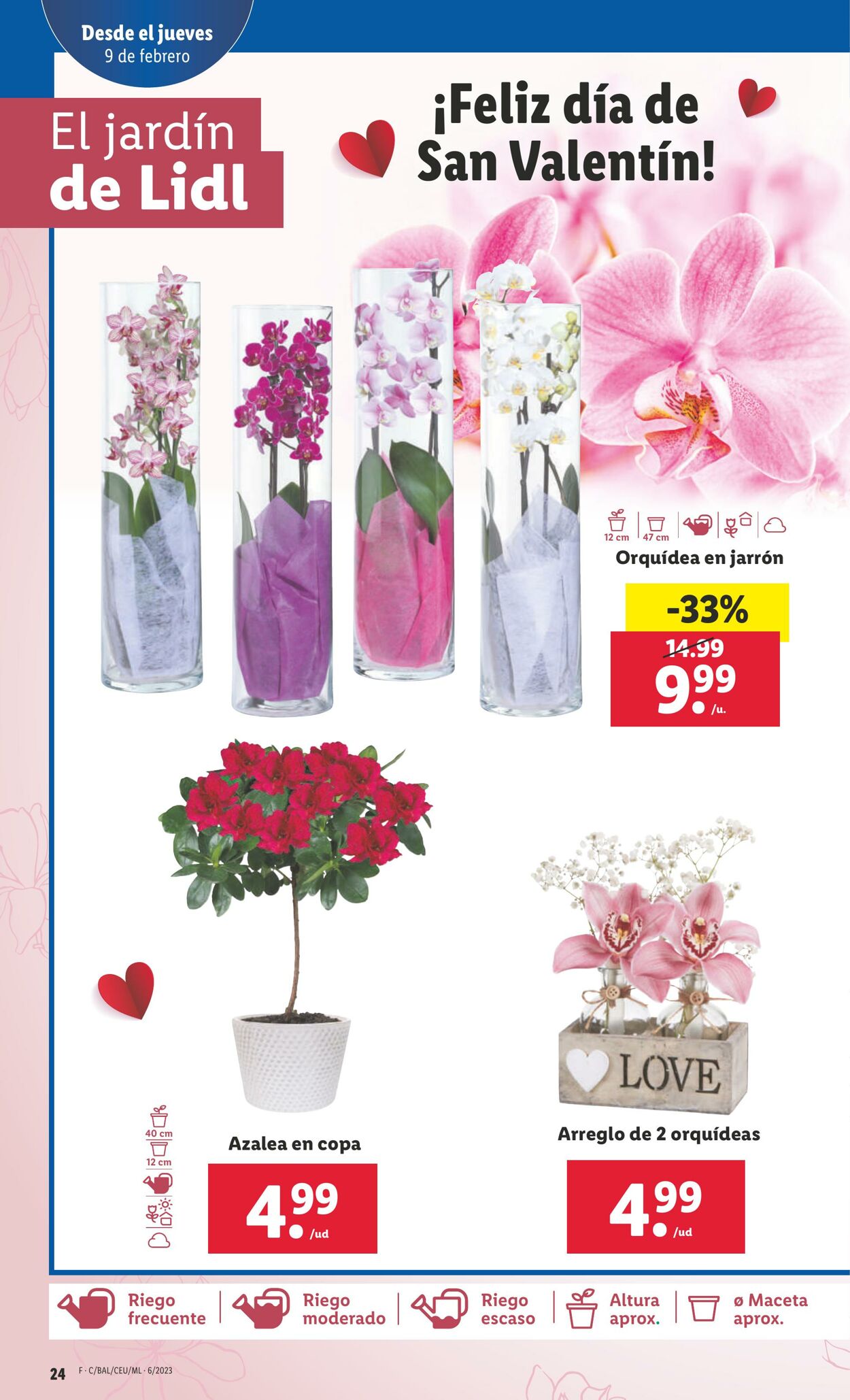 Folleto Lidl 09.02.2023 - 15.02.2023