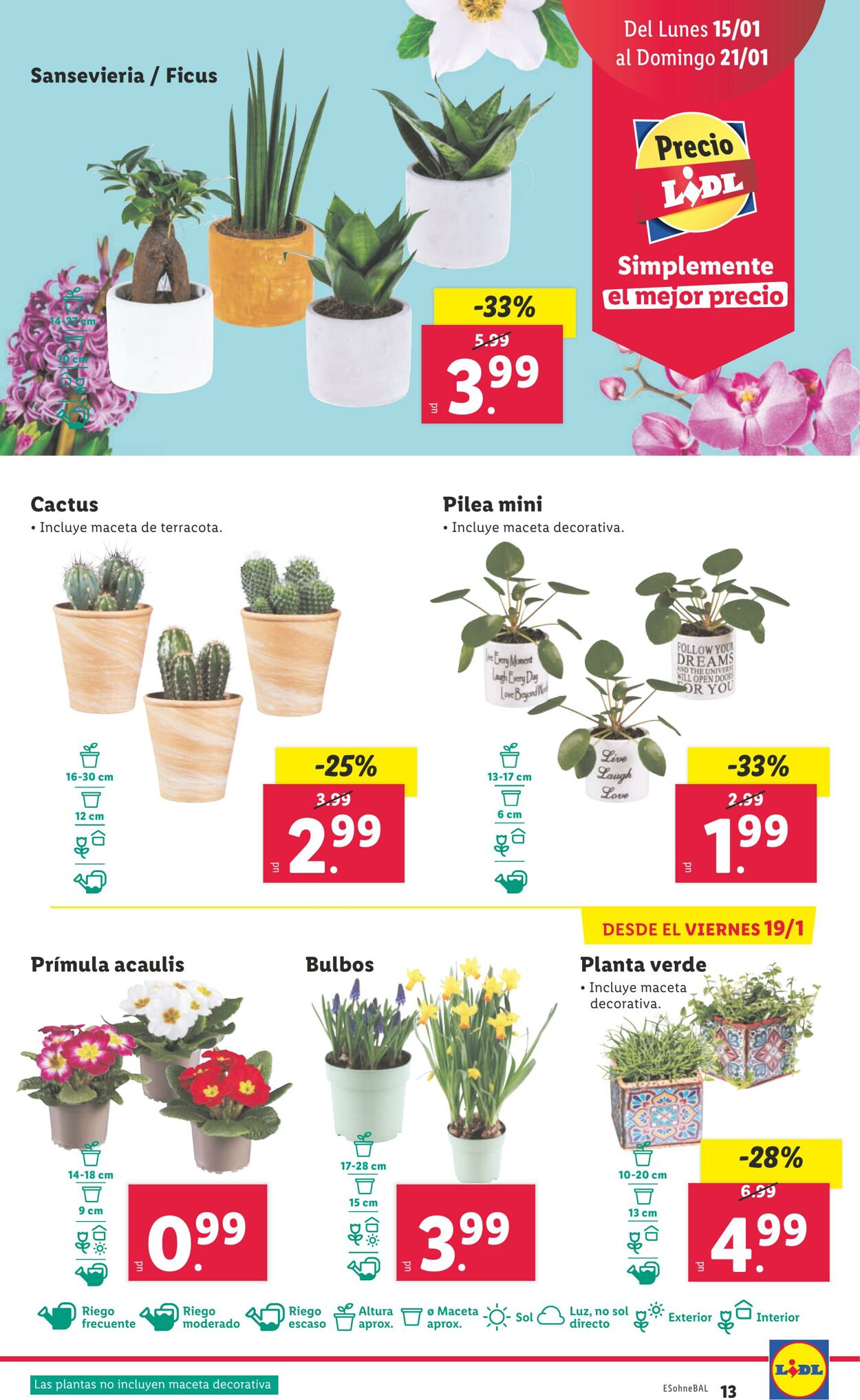 Folleto Lidl 15.01.2024 - 21.01.2024