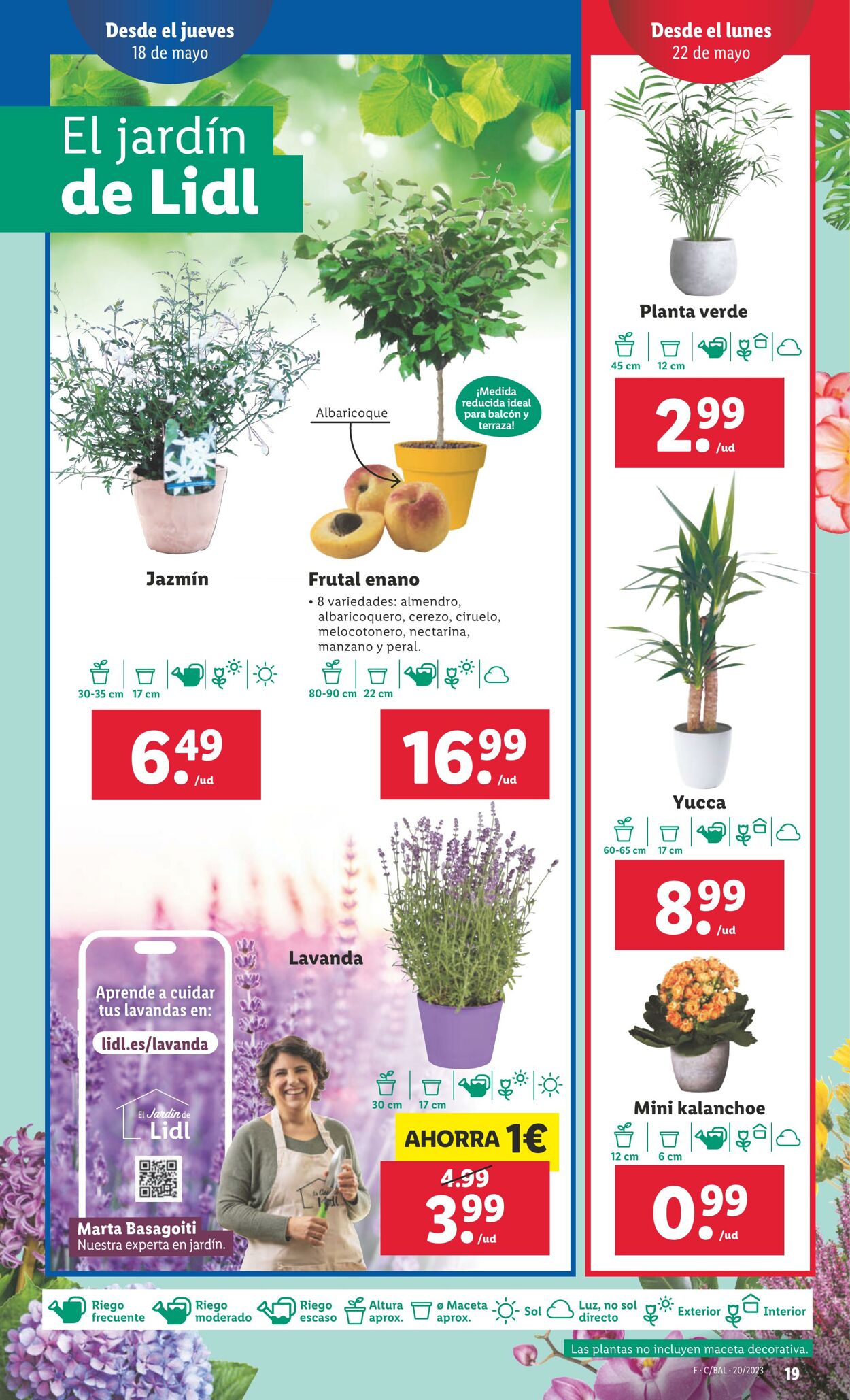 Folleto Lidl 18.05.2023 - 24.05.2023