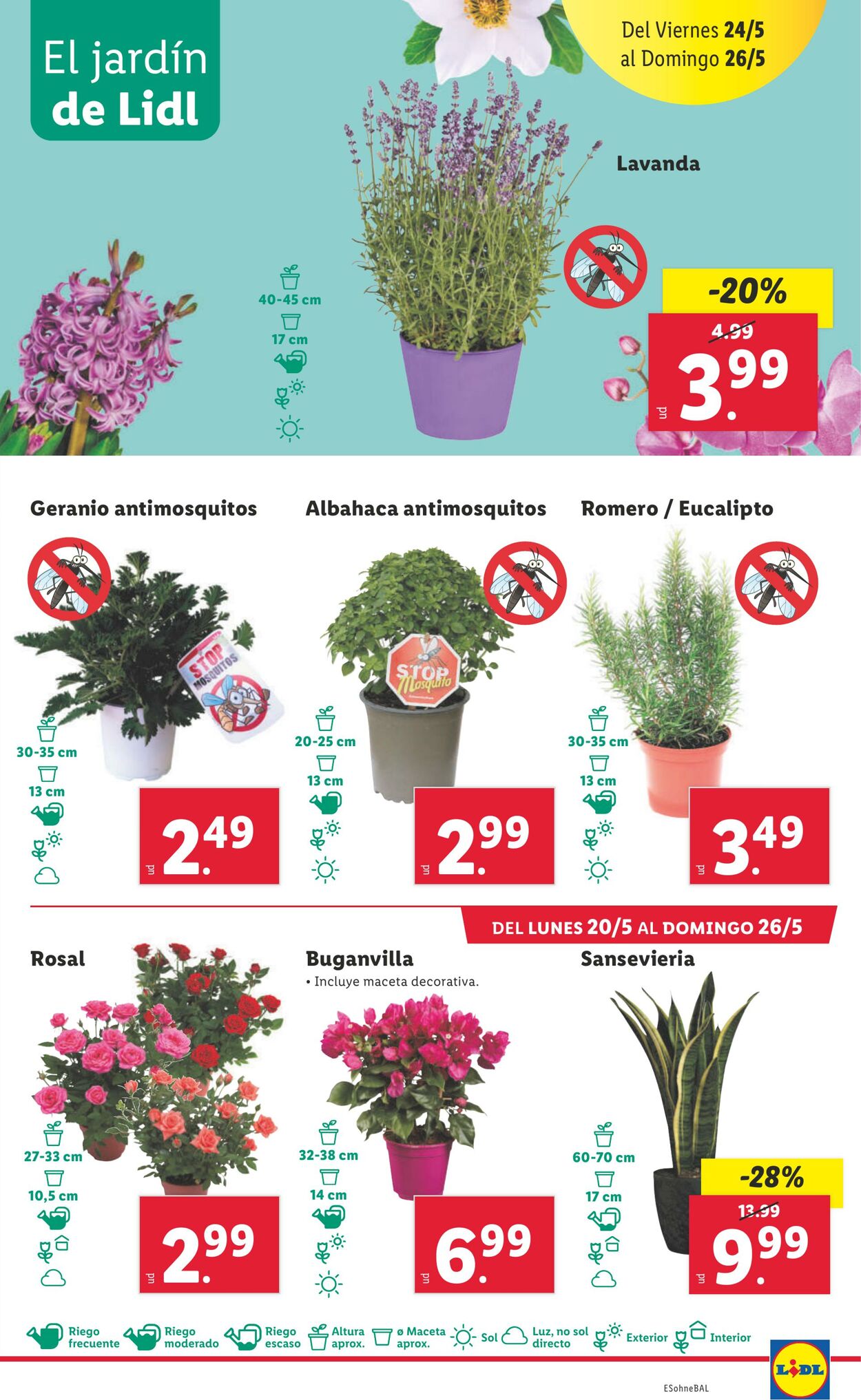 Folleto Lidl 20.05.2024 - 26.05.2024